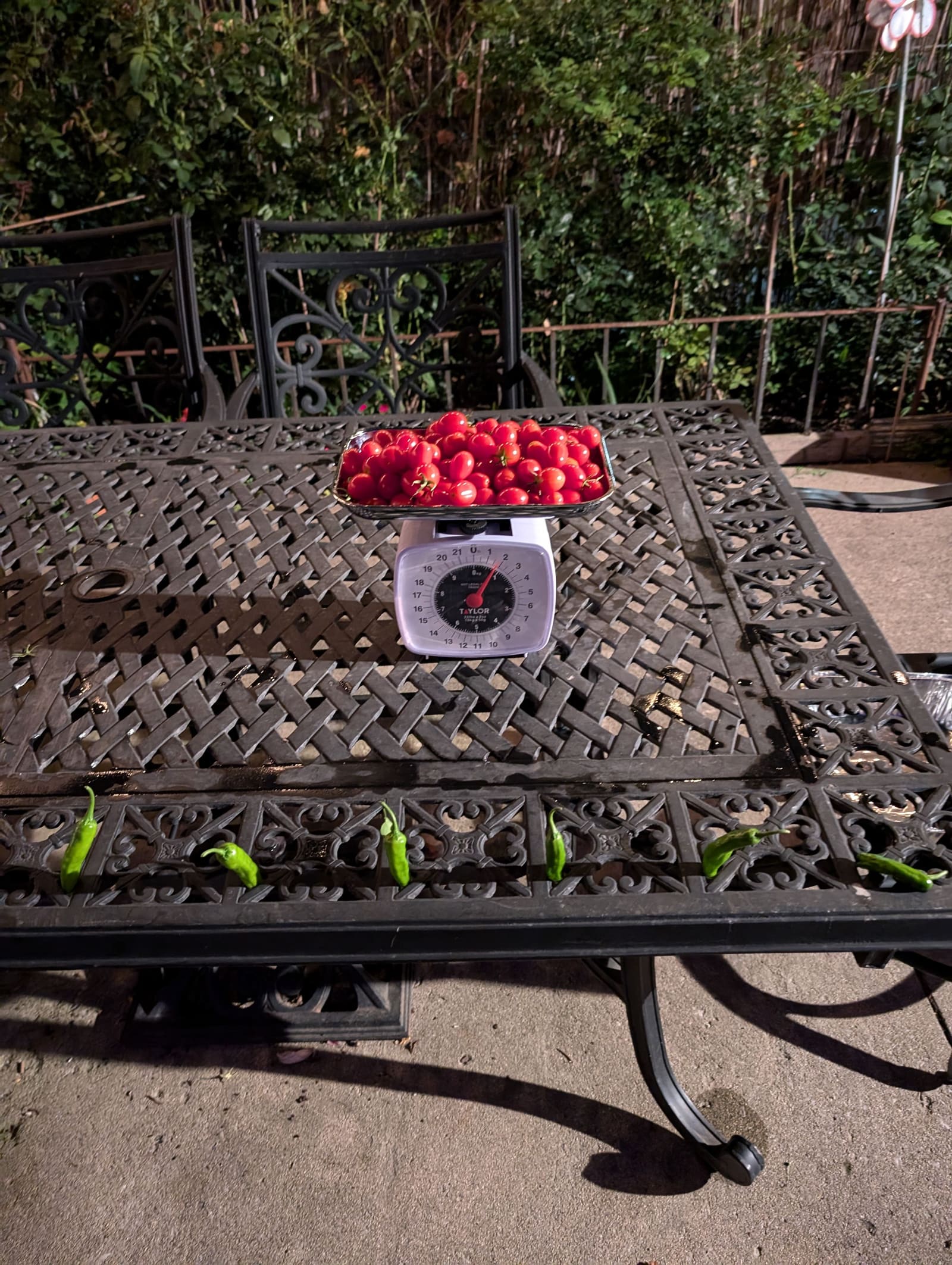 The week's harvest arranged on the table, with the scale in frame. September 2024.