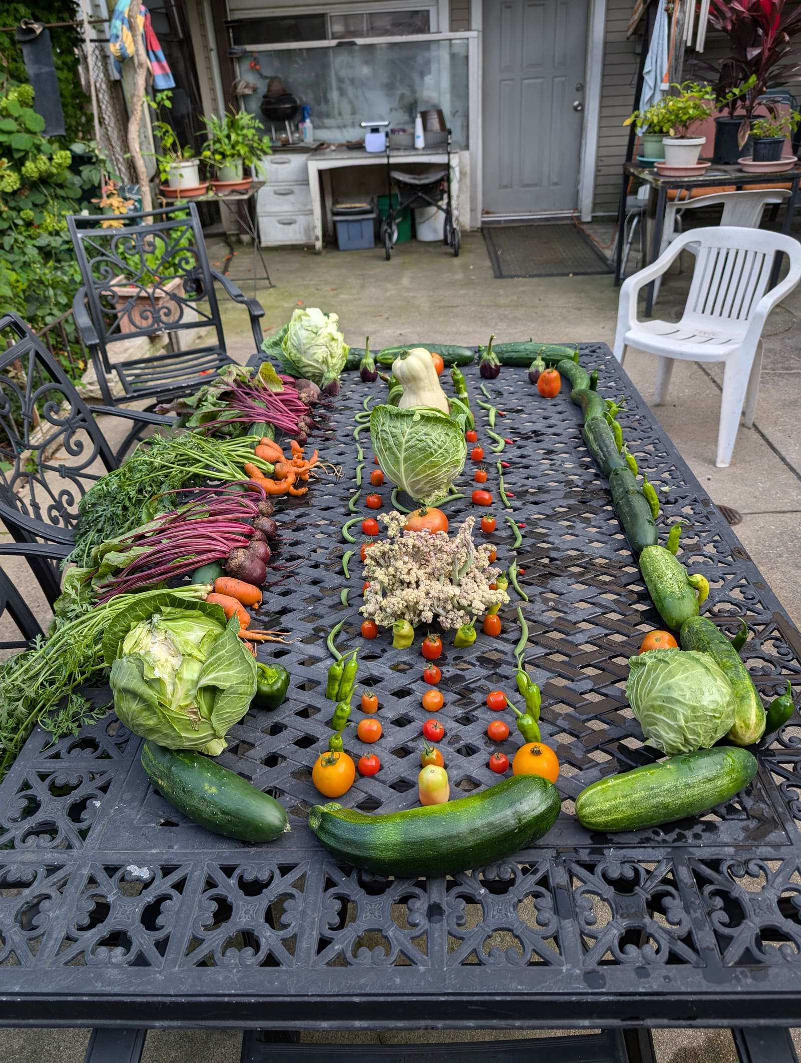 The week's harvest arranged on the table. July 2024.