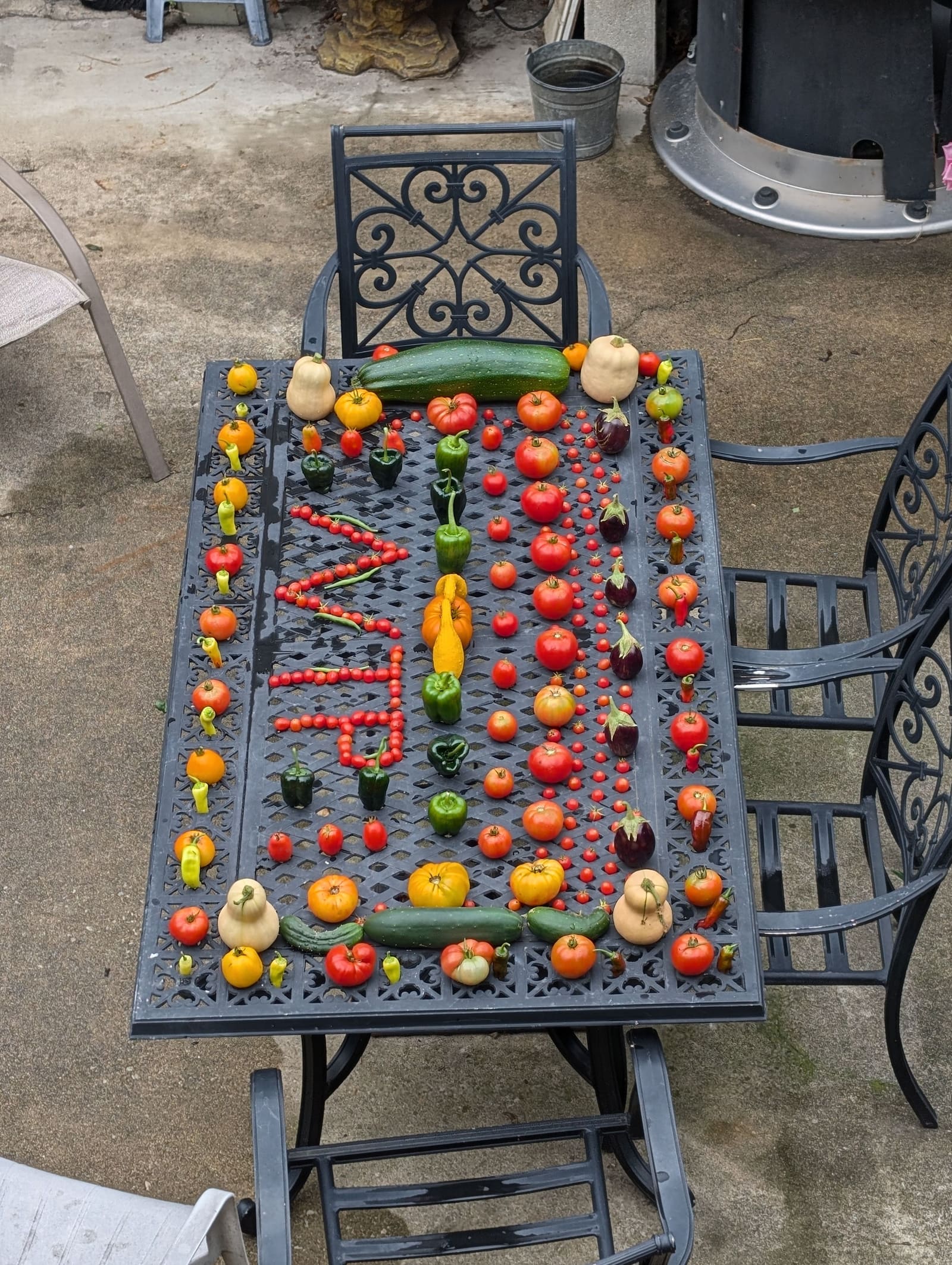 The week's harvest arranged on the table. September 2024.