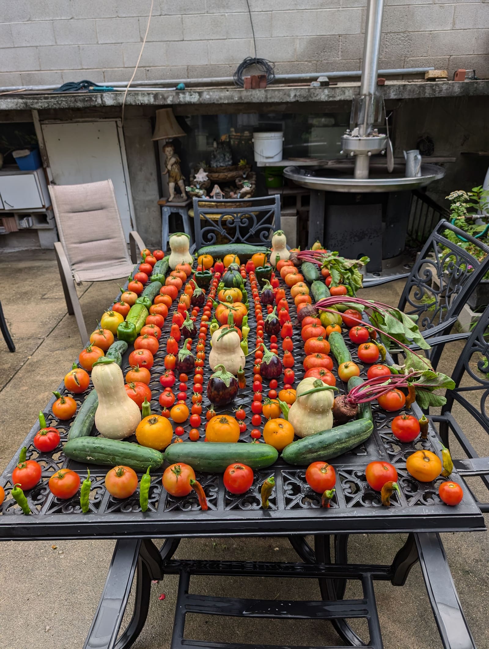 The week's harvest arranged on the table. August 2024.
