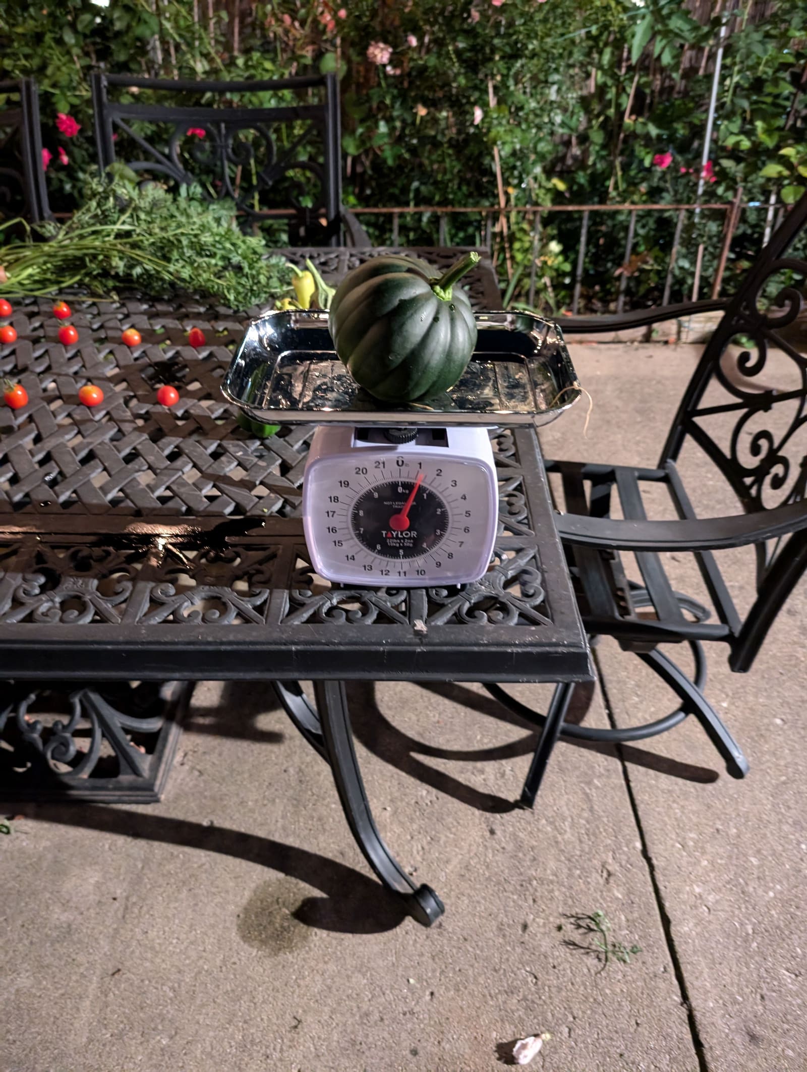 The week's harvest arranged on the table, with the scale in frame. August 2024.