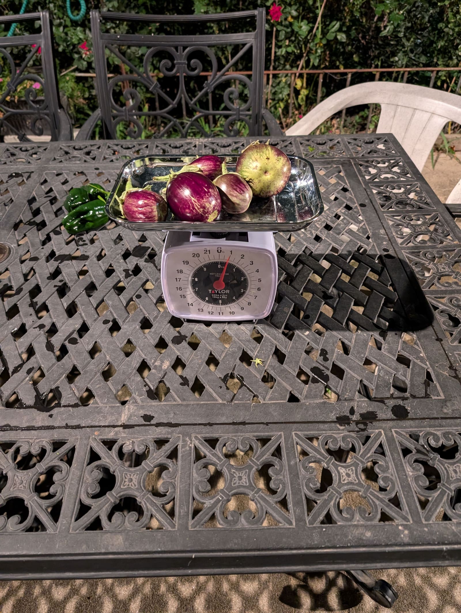 The week's harvest arranged on the table, with the scale in frame. October 2024.