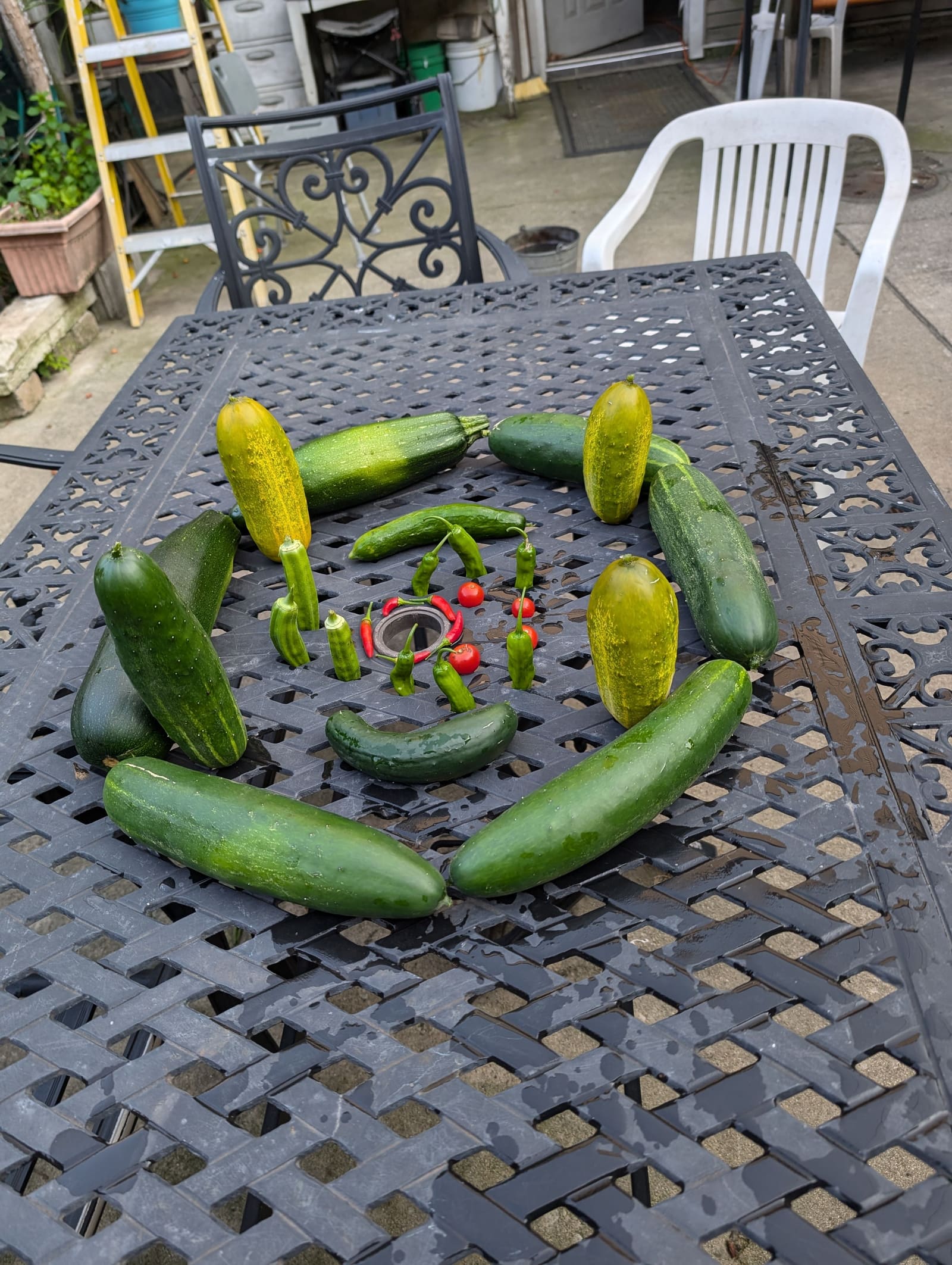 The week's harvest arranged on the table. July 2024.