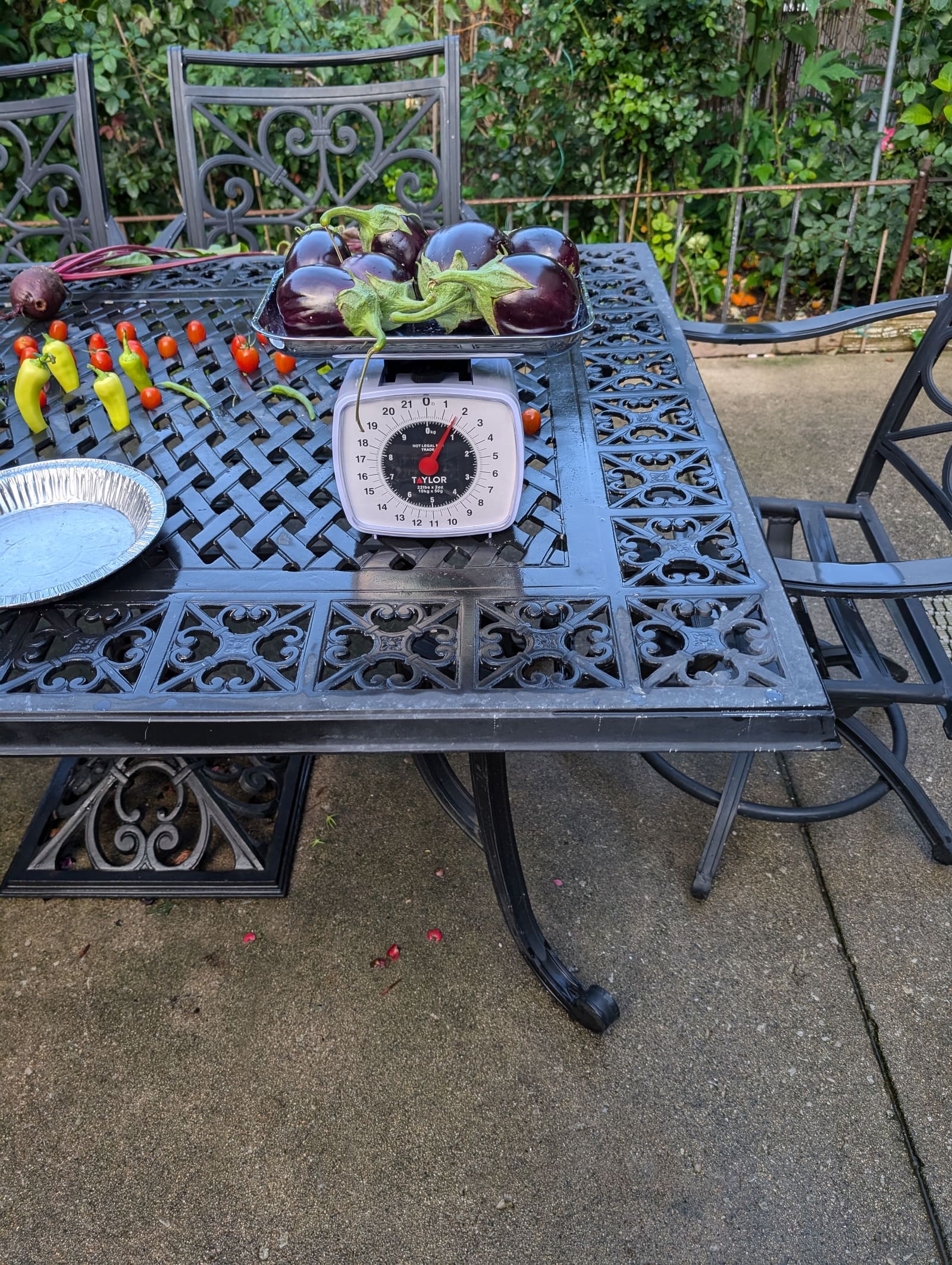 The week's harvest arranged on the table, with the scale in frame. August 2024.