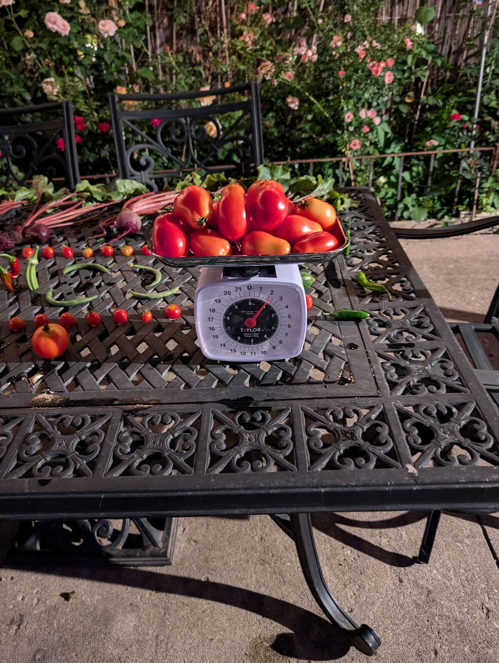 The week's harvest arranged on the table, with the scale in frame. August 2024.