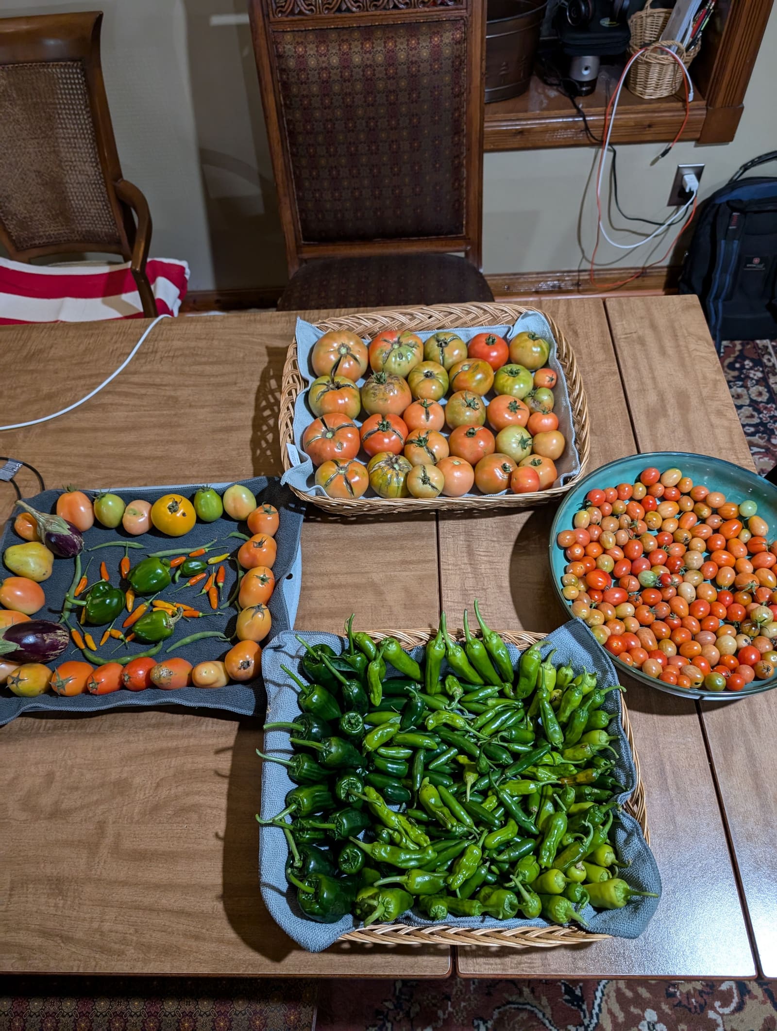 The week's harvest arranged on the table. November 2024.