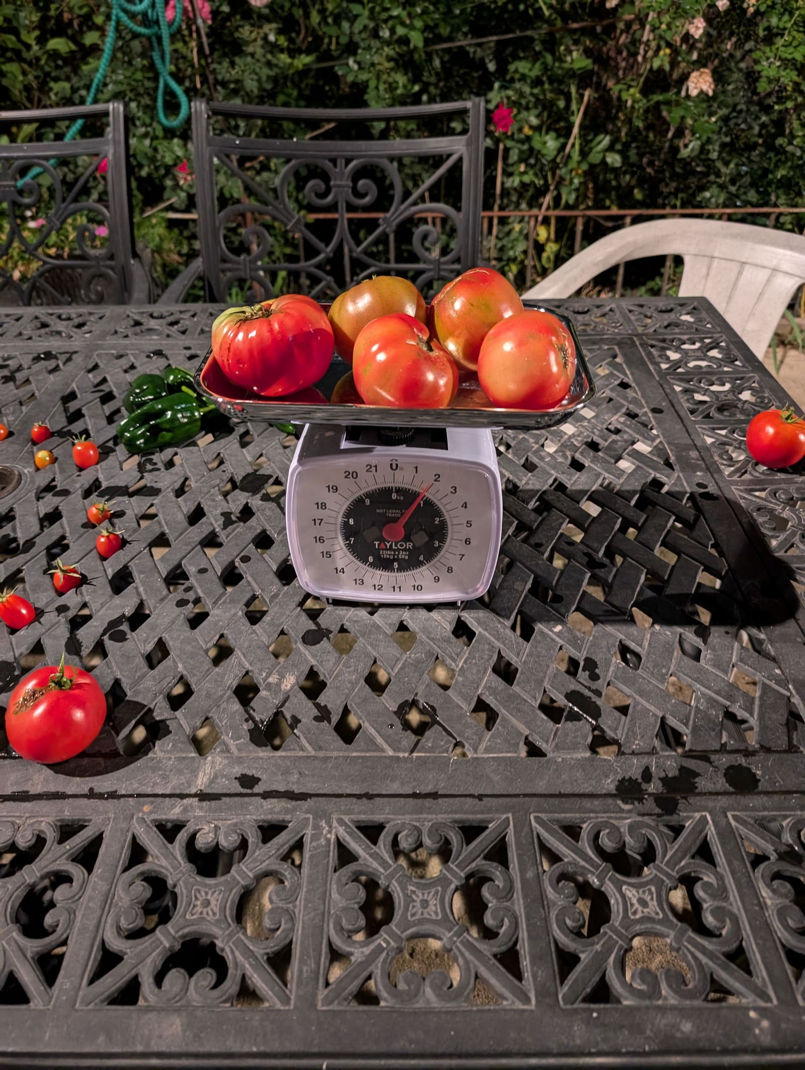 The week's harvest arranged on the table, with the scale in frame. October 2024.