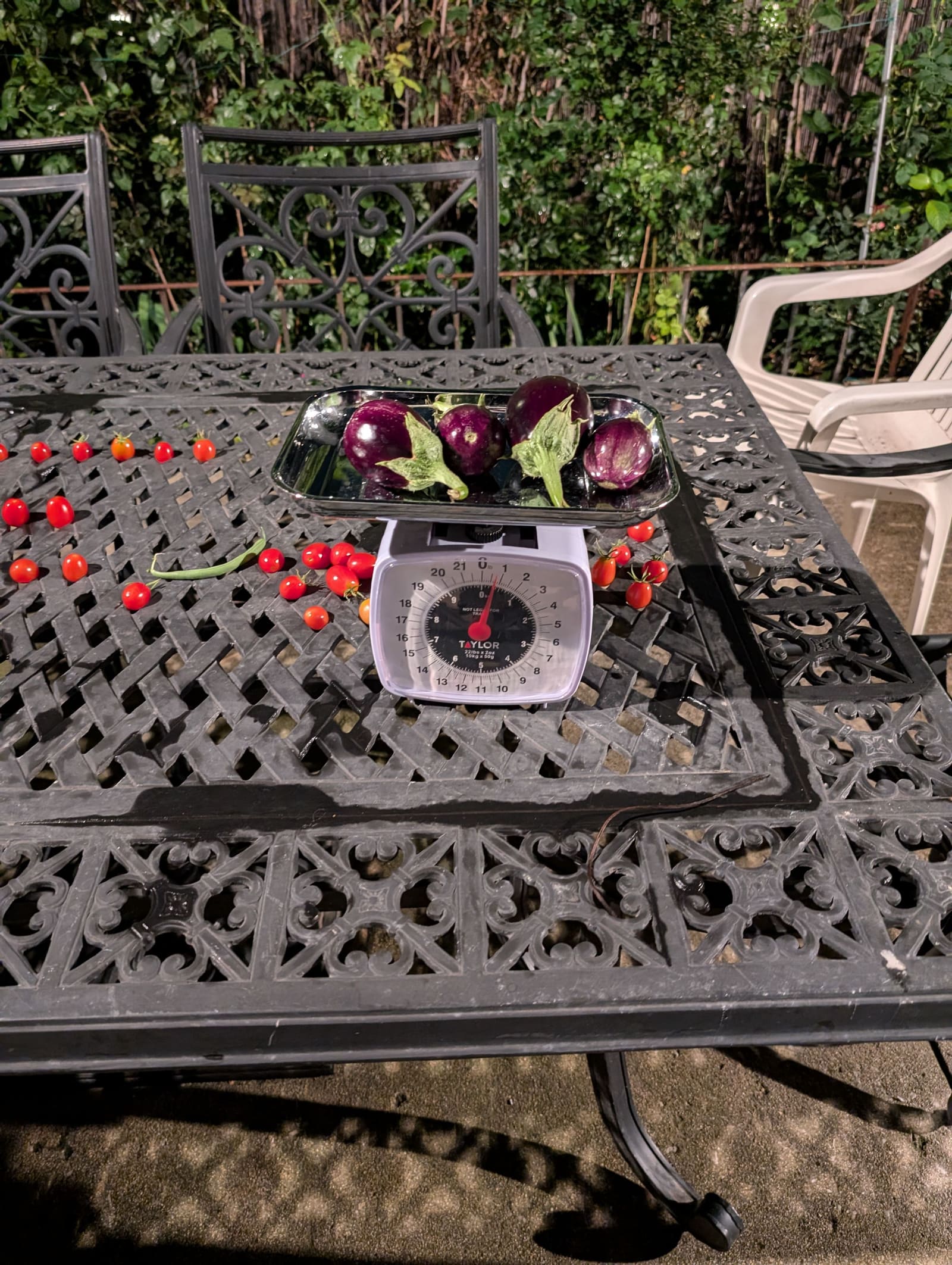 The week's harvest arranged on the table, with the scale in frame. August 2024.