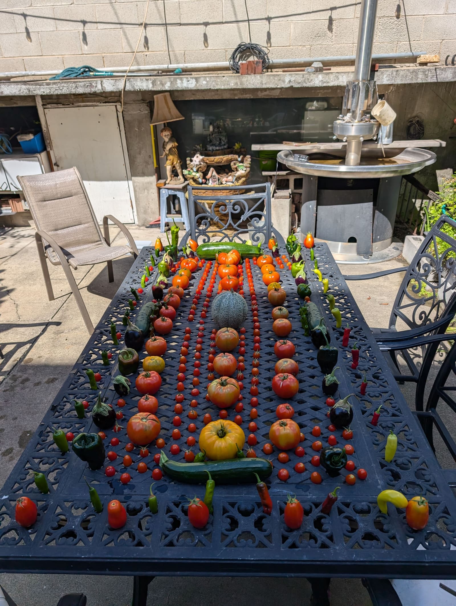 The week's harvest arranged on the table. September 2024.