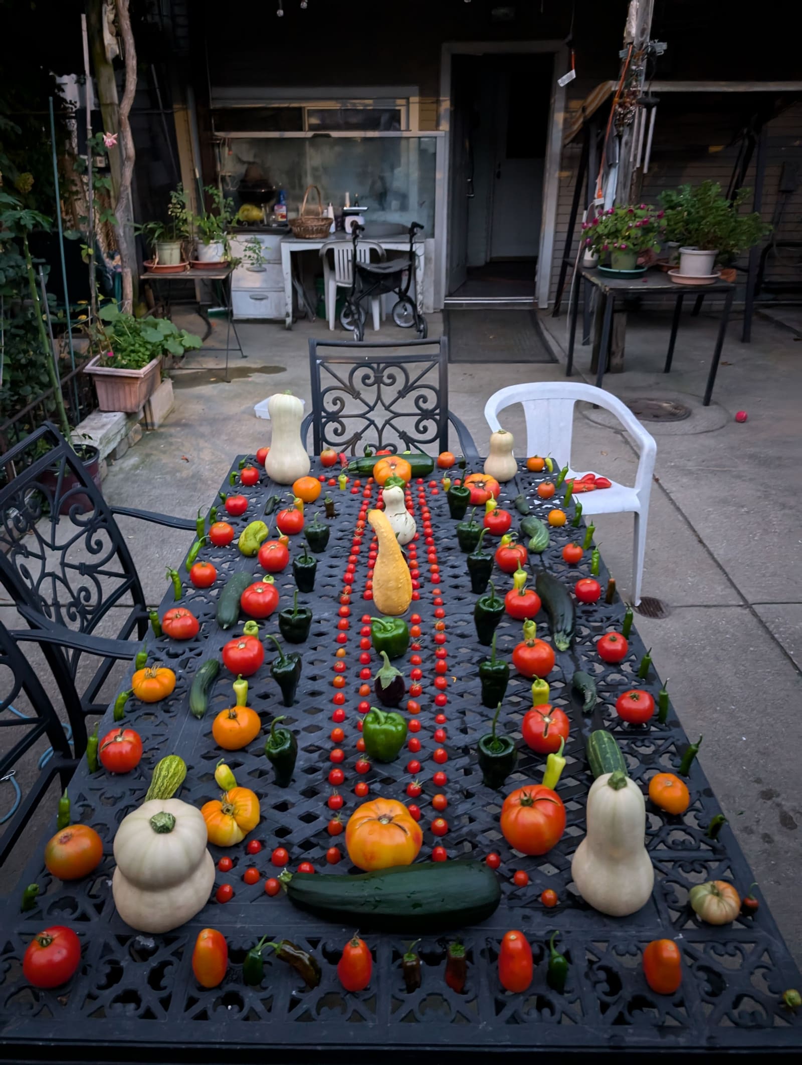 The week's harvest arranged on the table. September 2024.