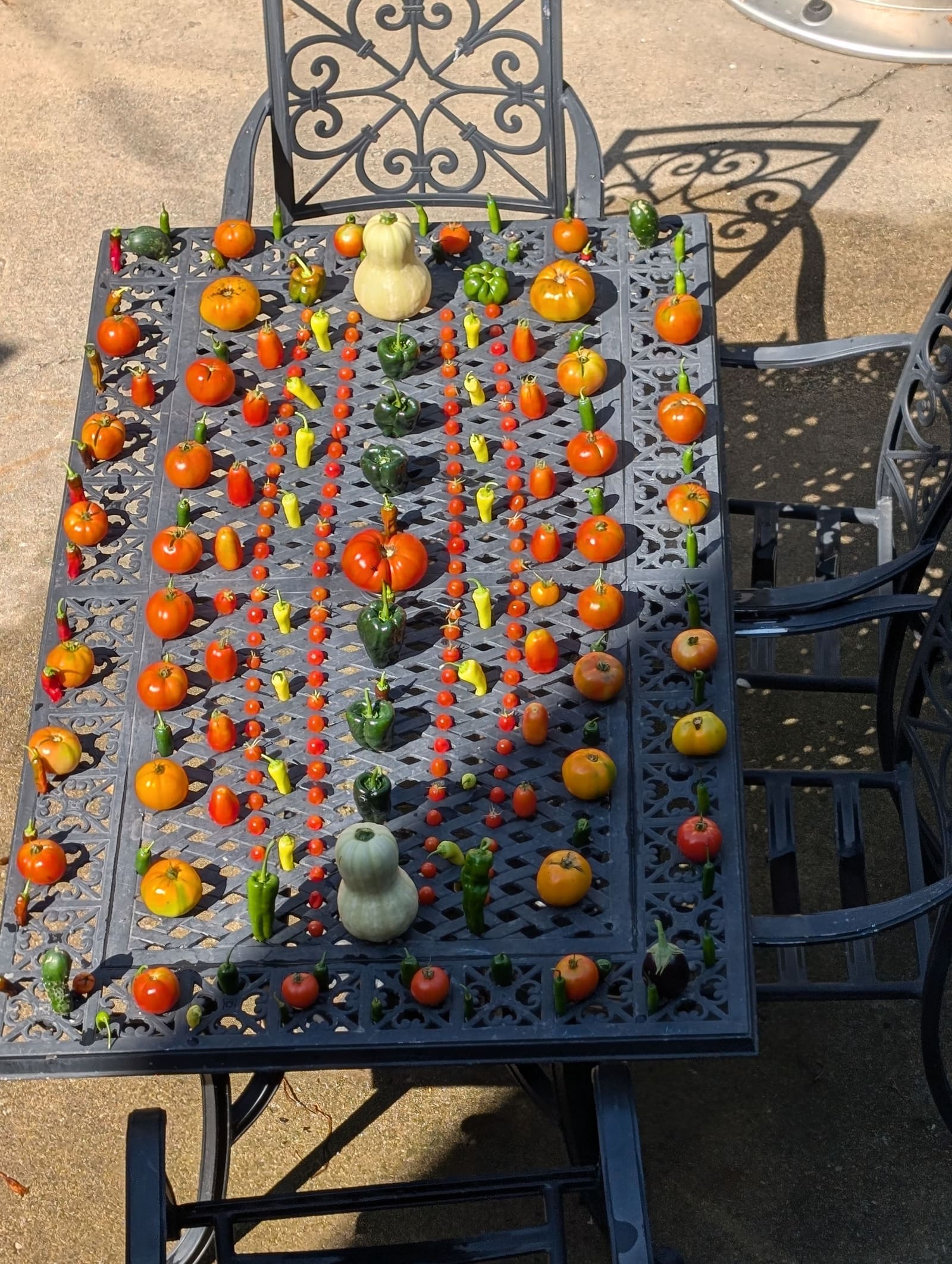 The week's harvest arranged on the table. September 2024.