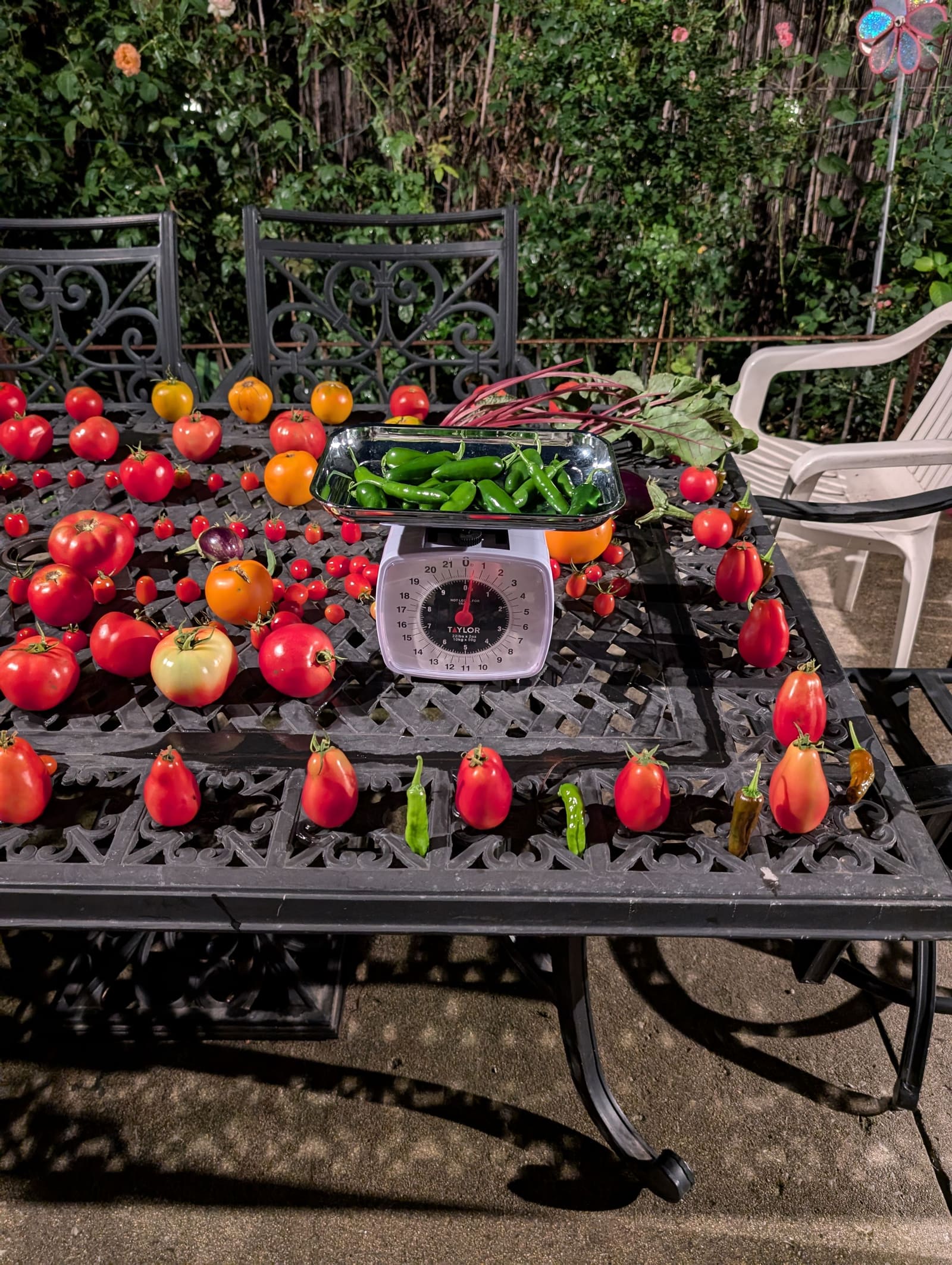 The week's harvest arranged on the table, with the scale in frame. August 2024.