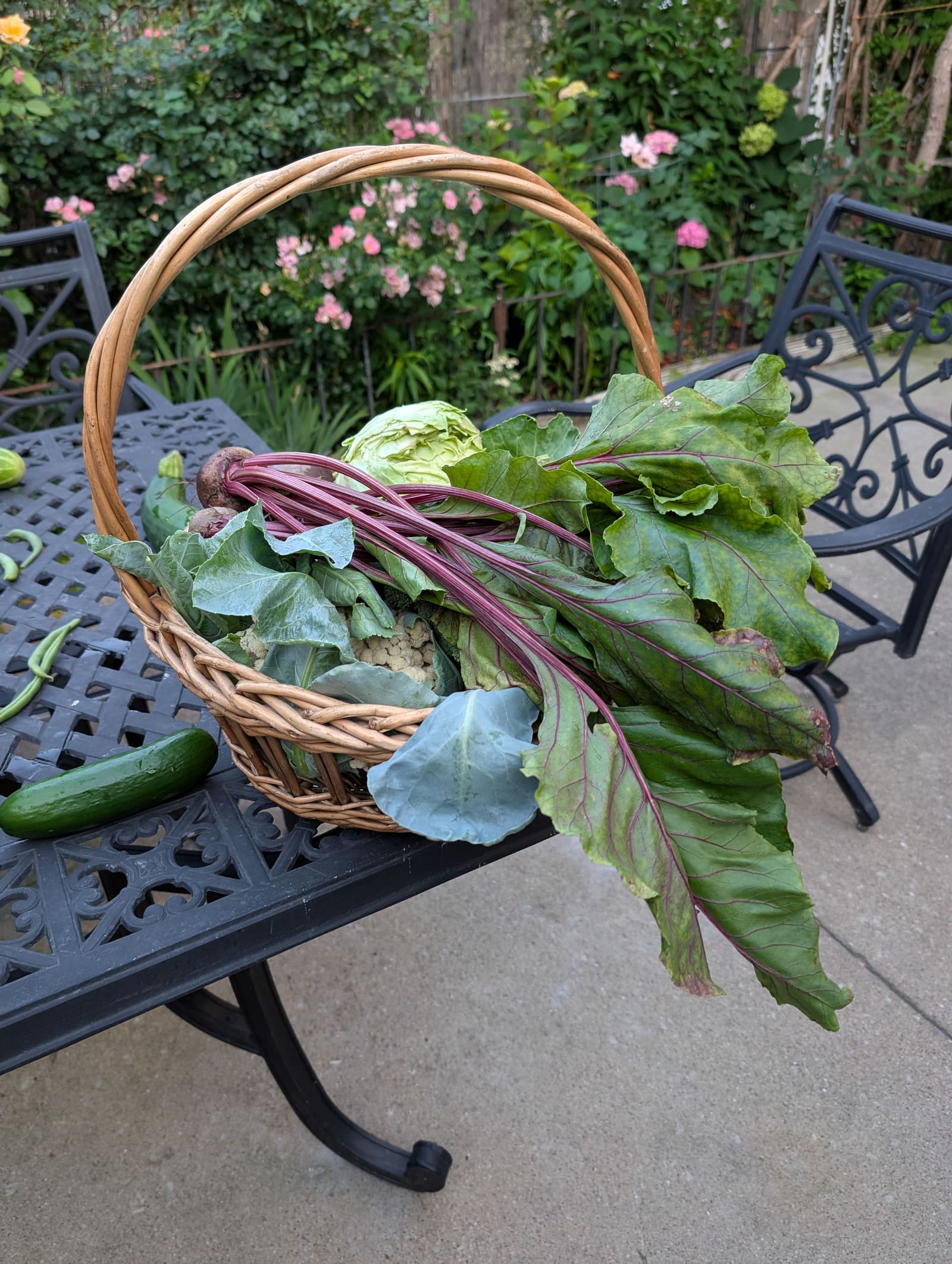 The week's harvest arranged on the table. July 2025.