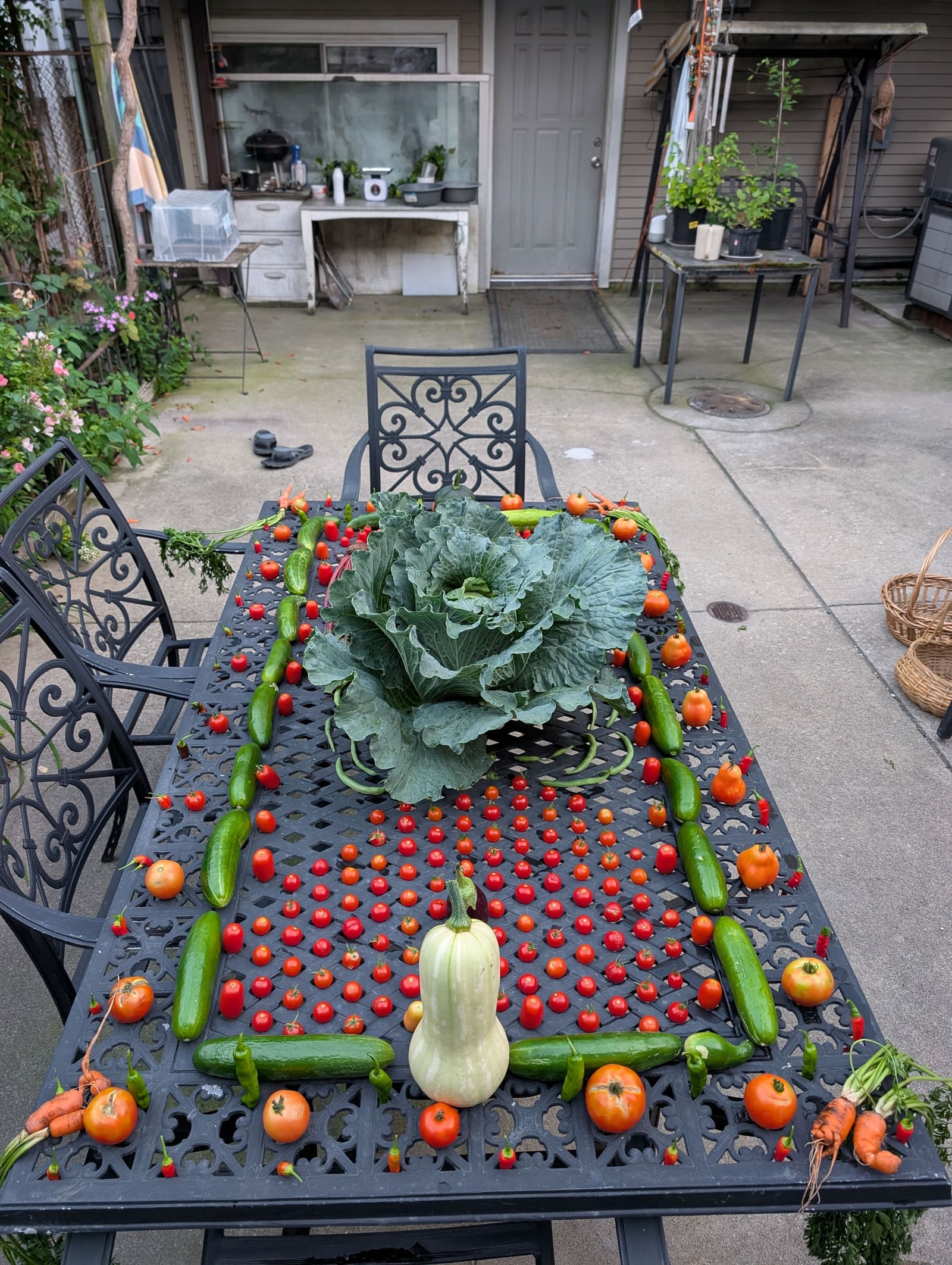 The week's harvest arranged on the table. August 2025.