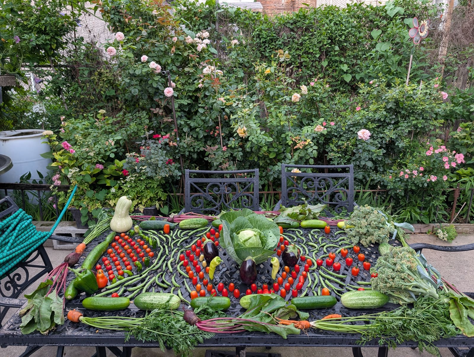 The week's harvest arranged on the table, with the scale in frame. July 2025.