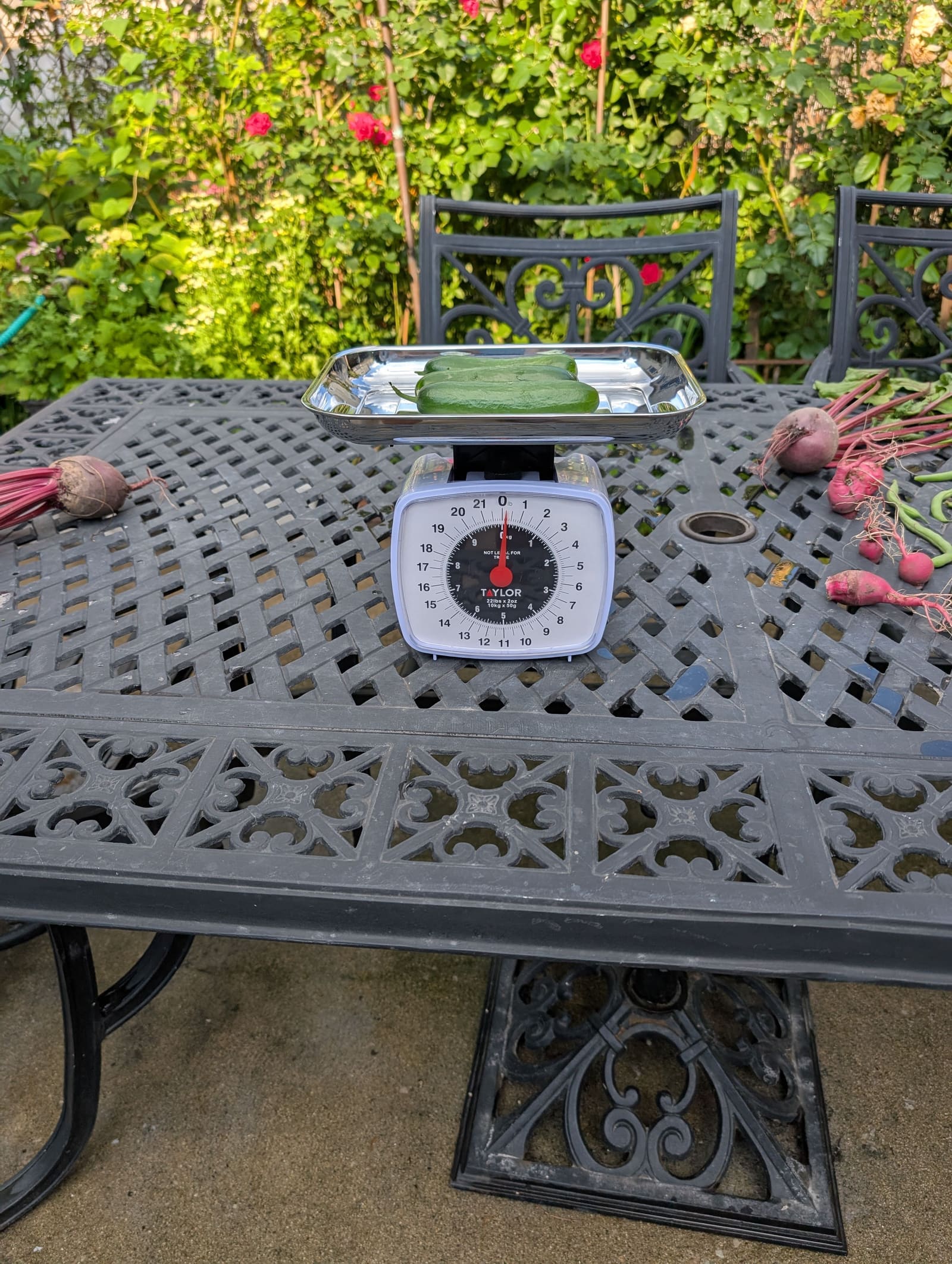 The week's harvest arranged on the table, with the scale in frame. July 2025.