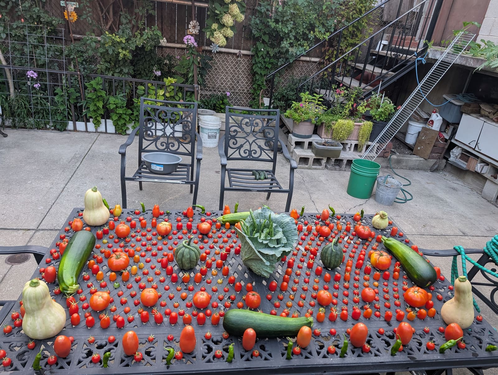 The week's harvest arranged on the table. September 2025.
