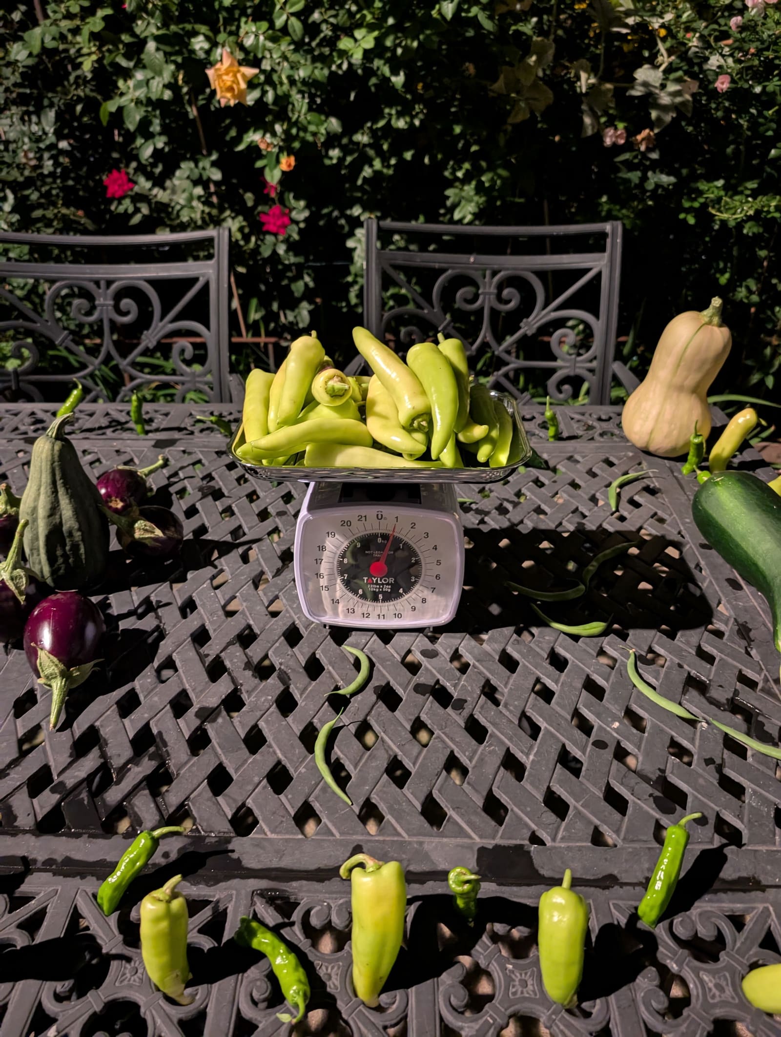 The week's harvest arranged on the table, with the scale in frame. September 2025.