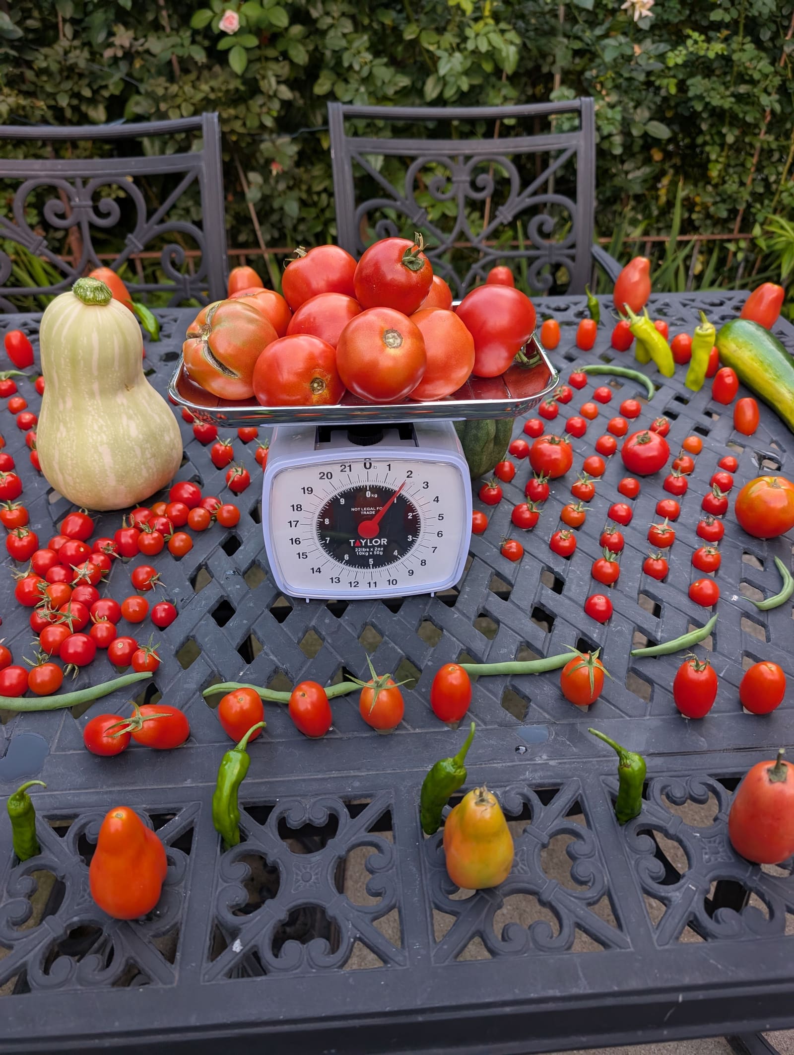 The week's harvest arranged on the table, with the scale in frame. September 2025.
