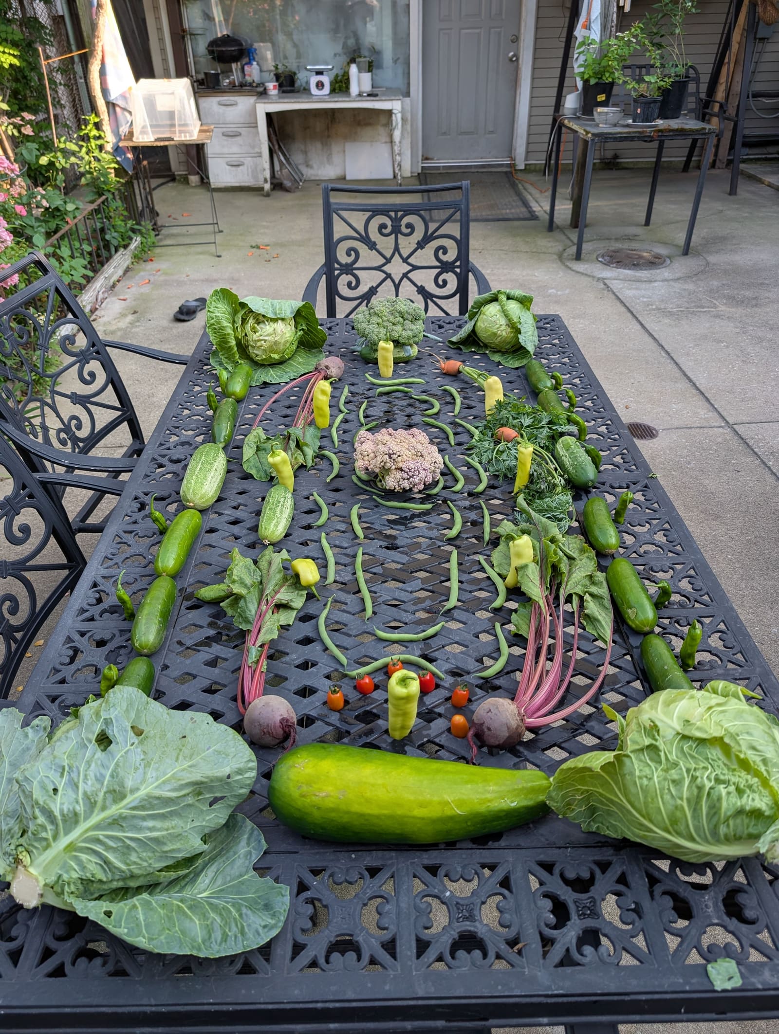 The week's harvest arranged on the table. July 2025.