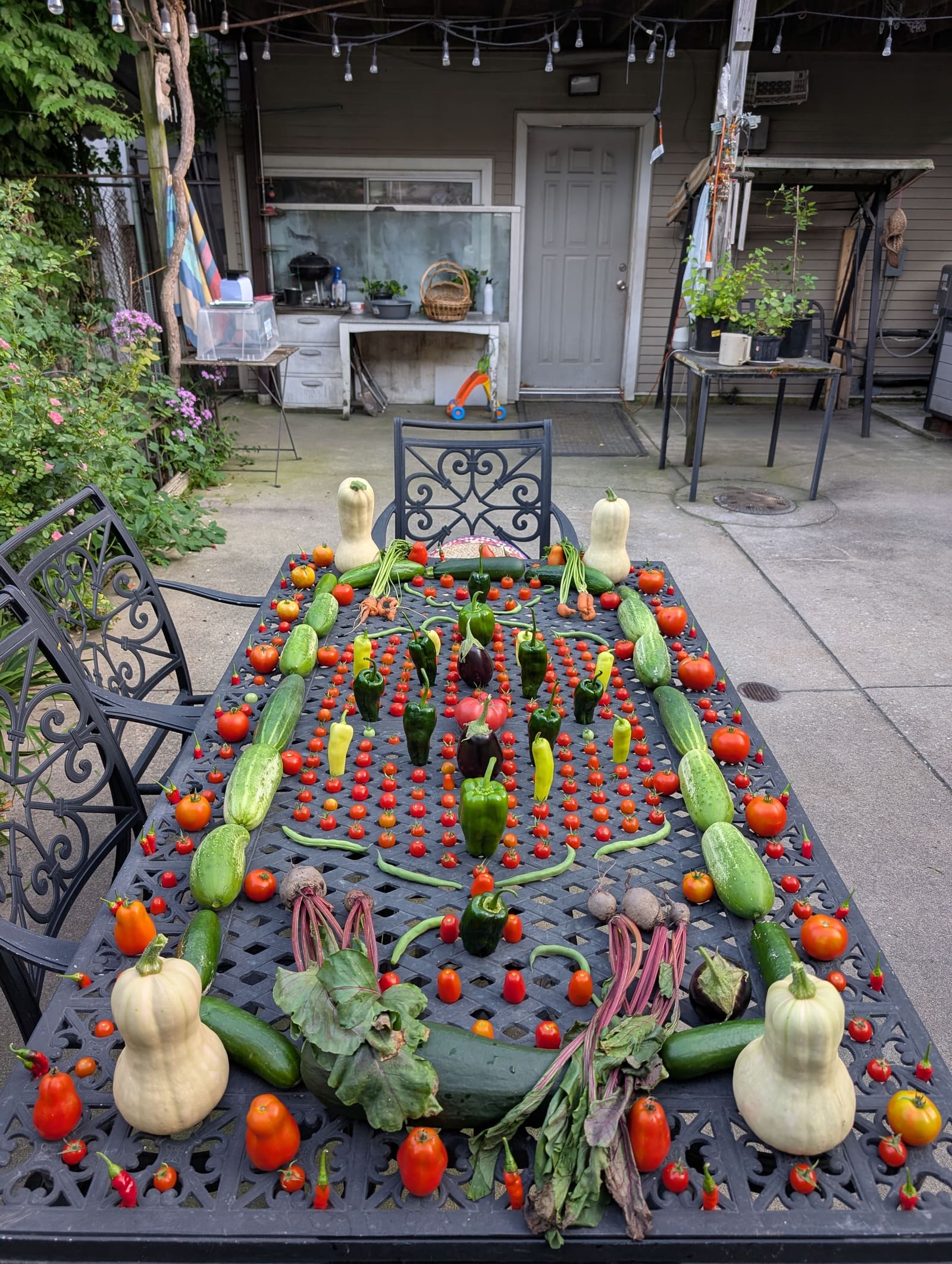 The week's harvest arranged on the table. August 2025.