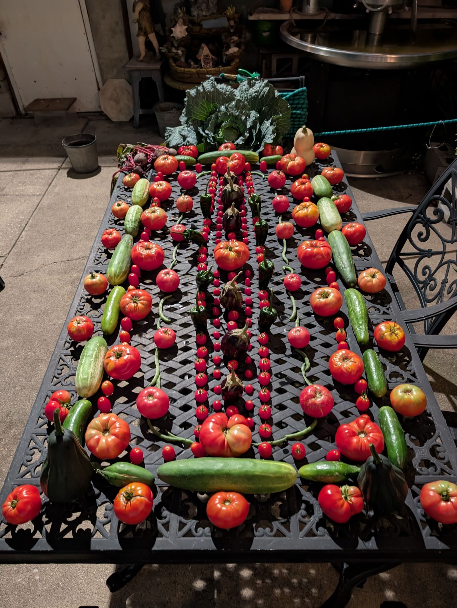 The week's harvest arranged on the table. August 2025.