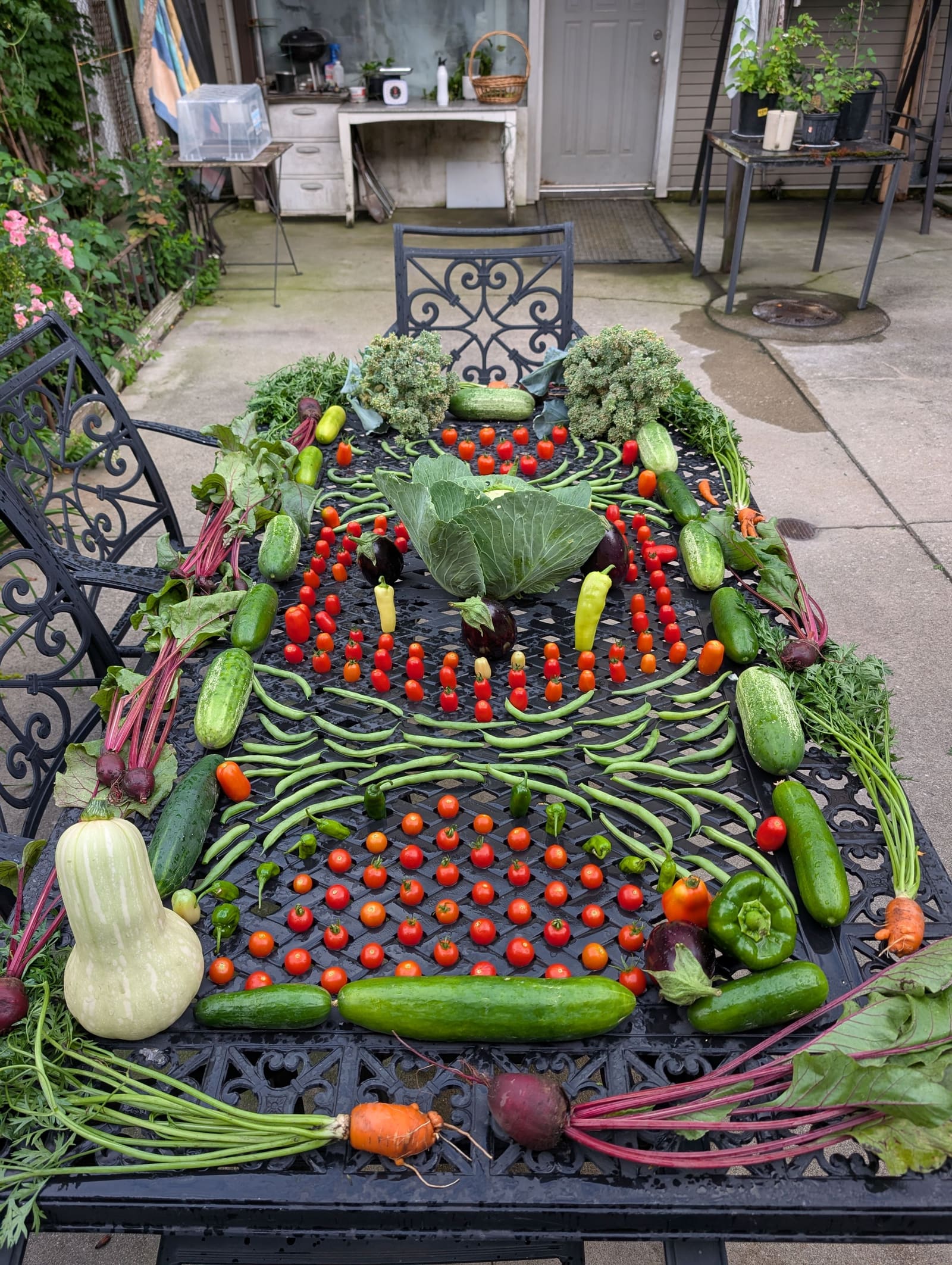 The week's harvest arranged on the table. July 2025.