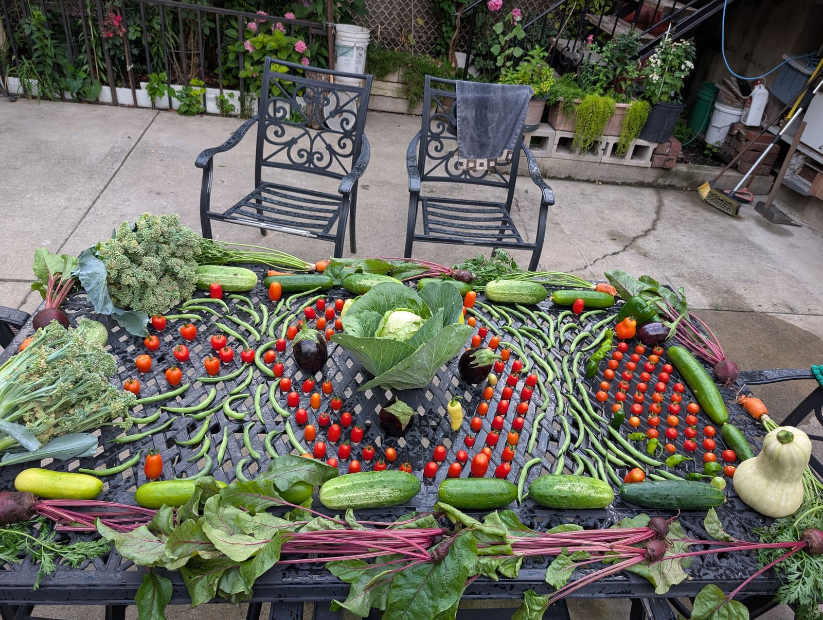 The week's harvest arranged on the table. July 2025.