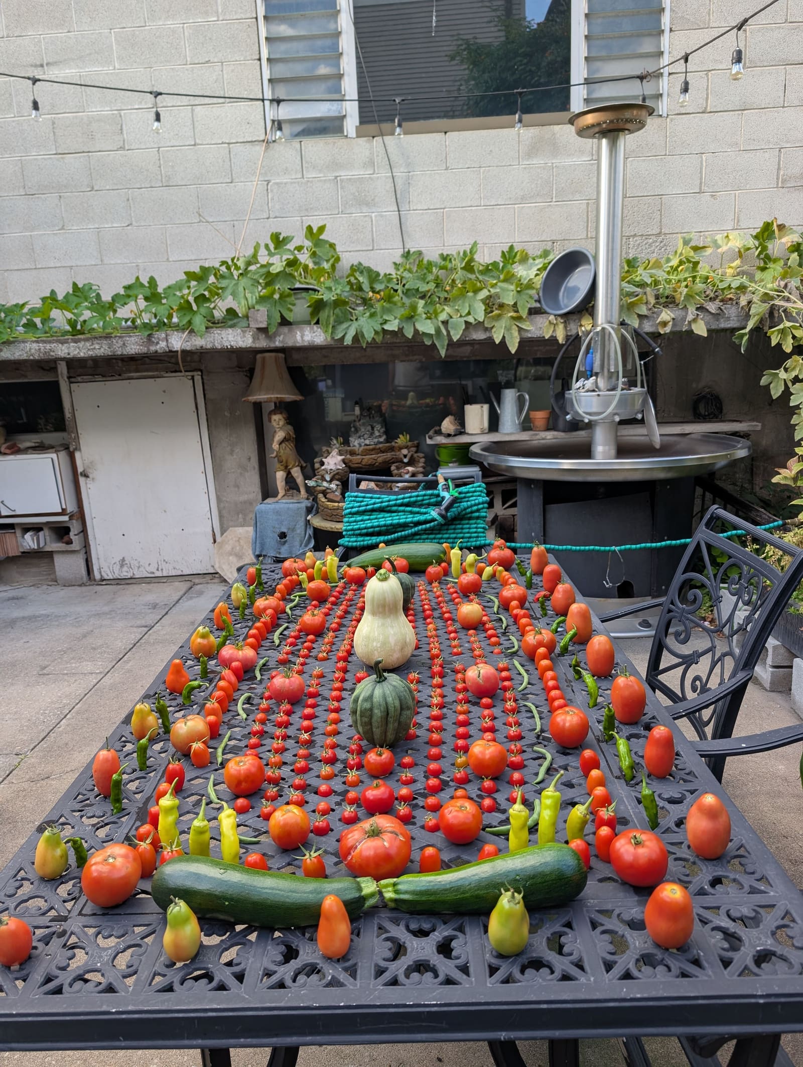 The week's harvest arranged on the table. September 2025.