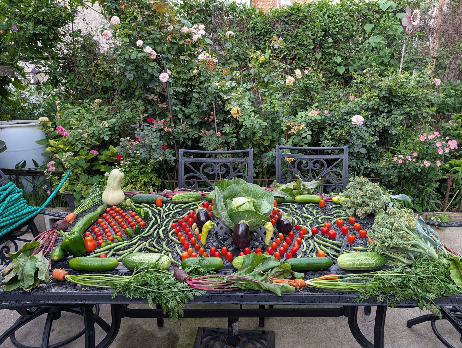The week's harvest arranged on the table. July 2025.