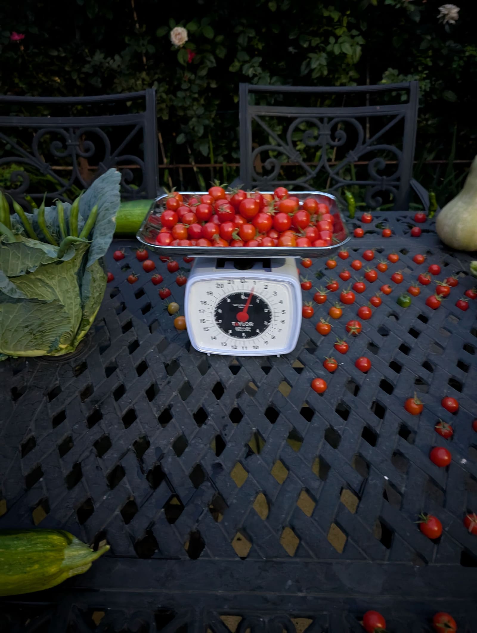 The week's harvest arranged on the table, with the scale in frame. September 2025.