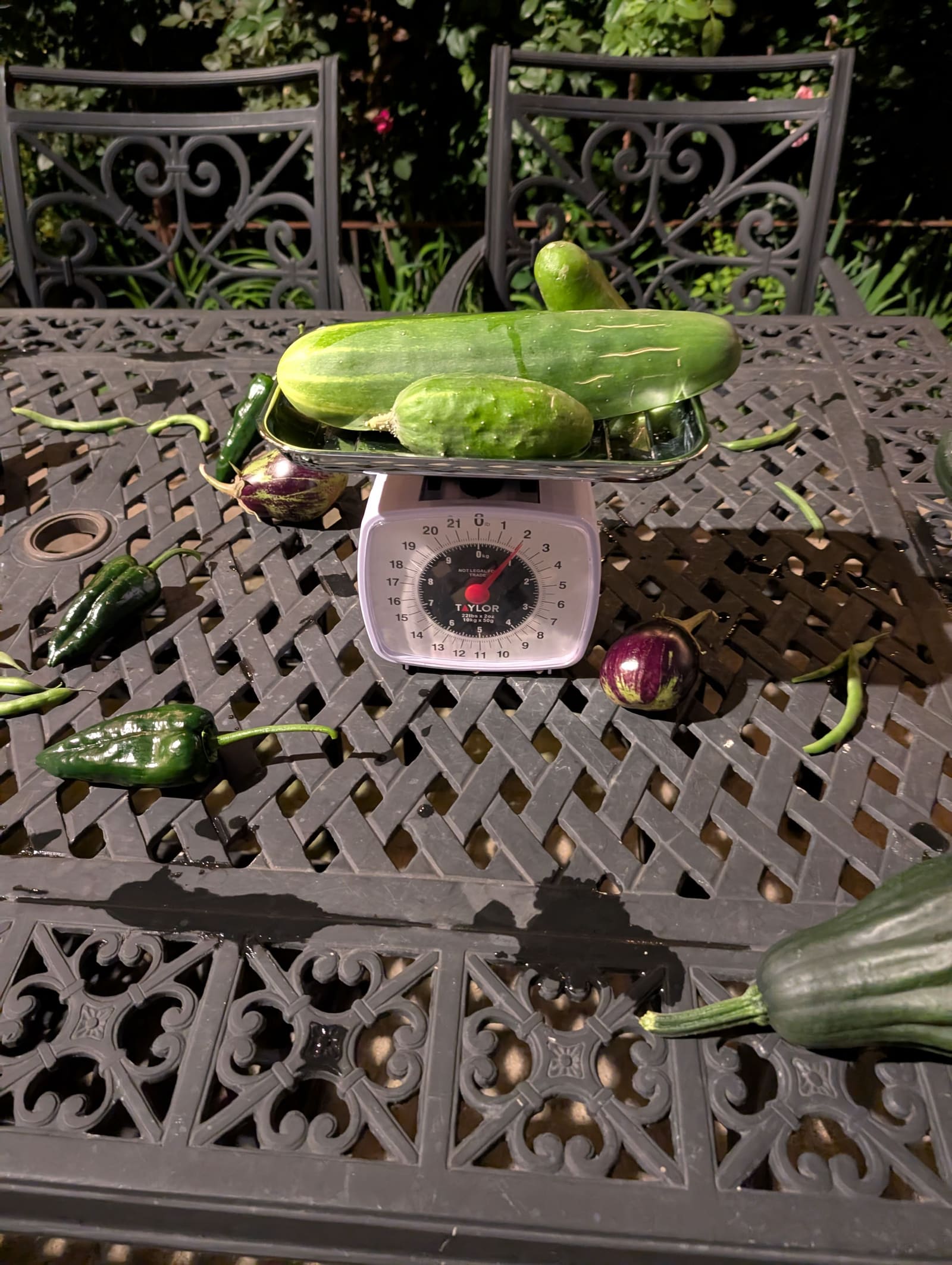 The week's harvest arranged on the table, with the scale in frame. August 2025.