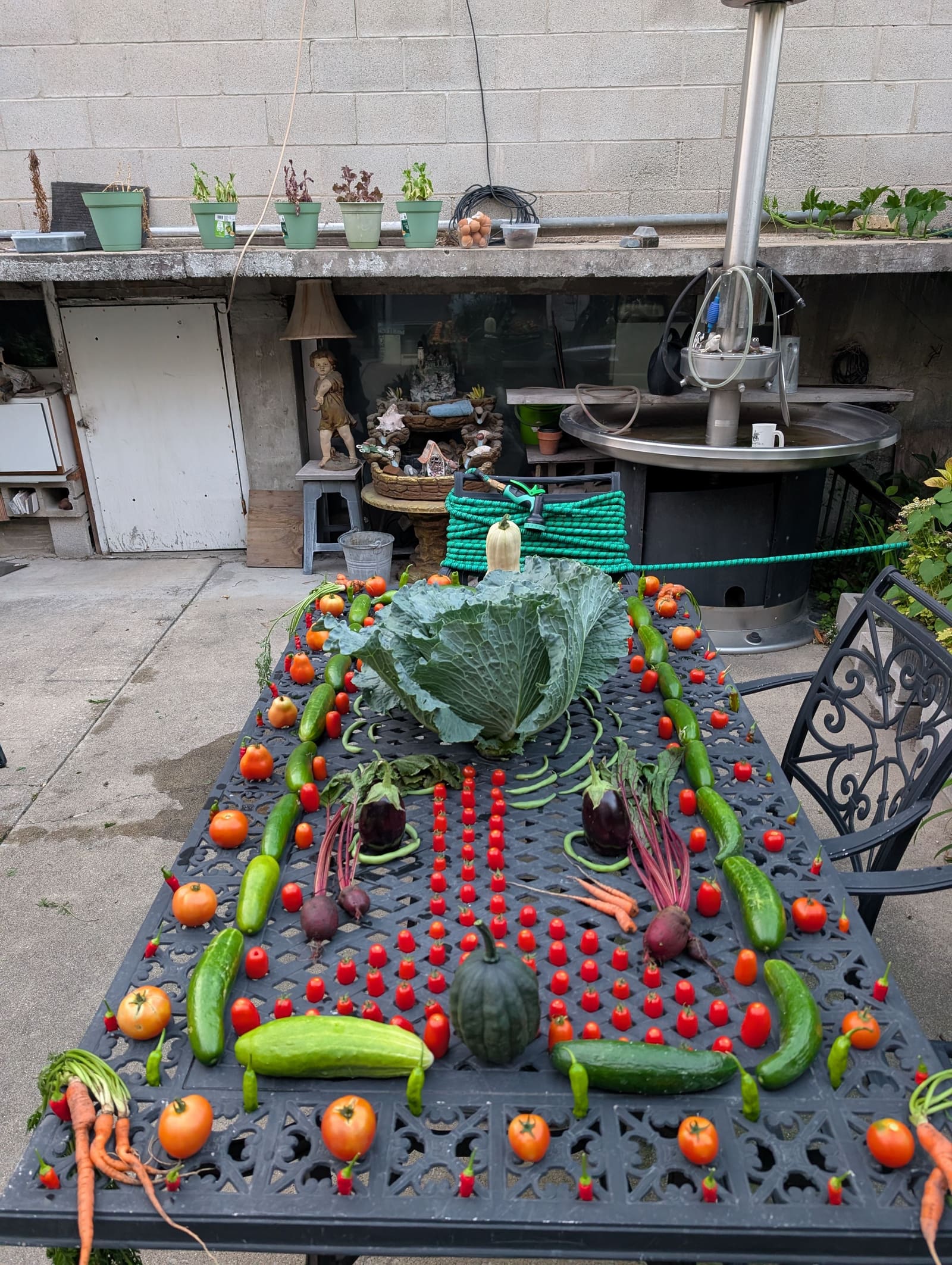 The week's harvest arranged on the table. August 2025.