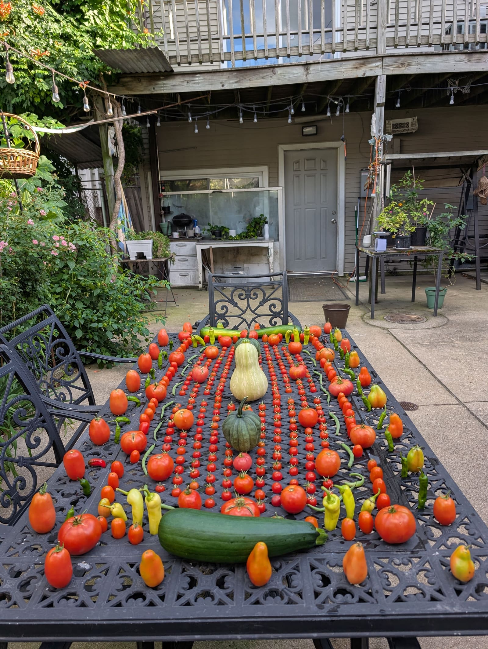 The week's harvest arranged on the table. September 2025.