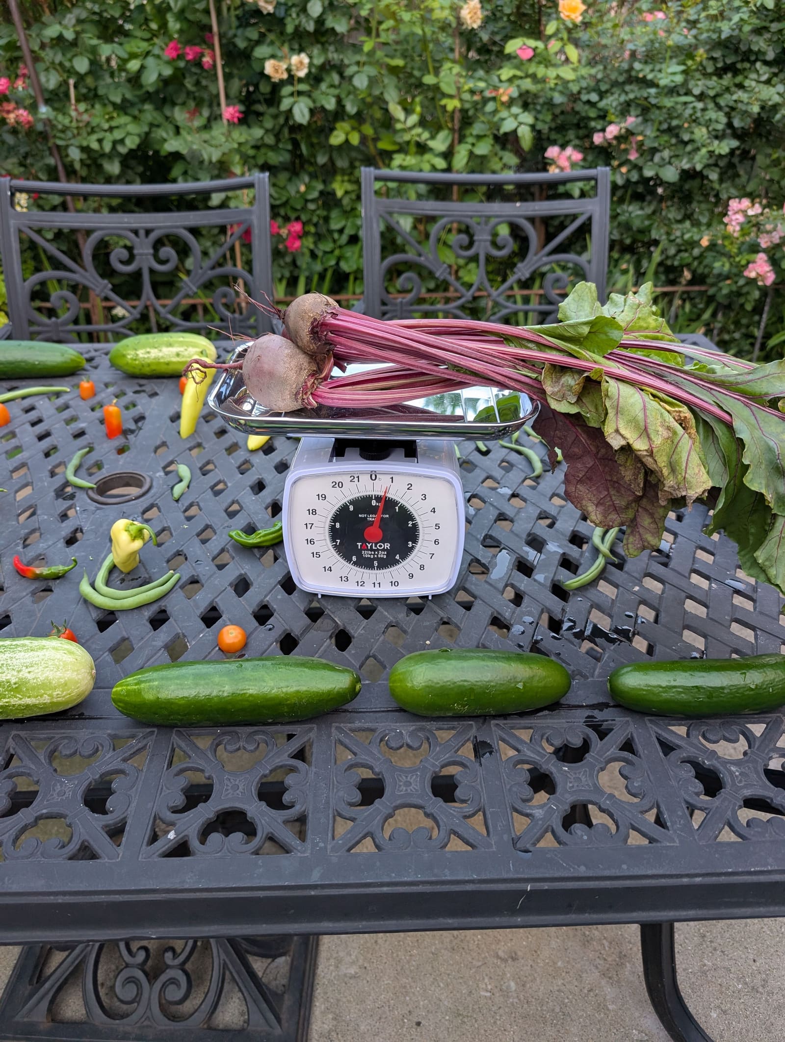 The week's harvest arranged on the table, with the scale in frame. July 2025.