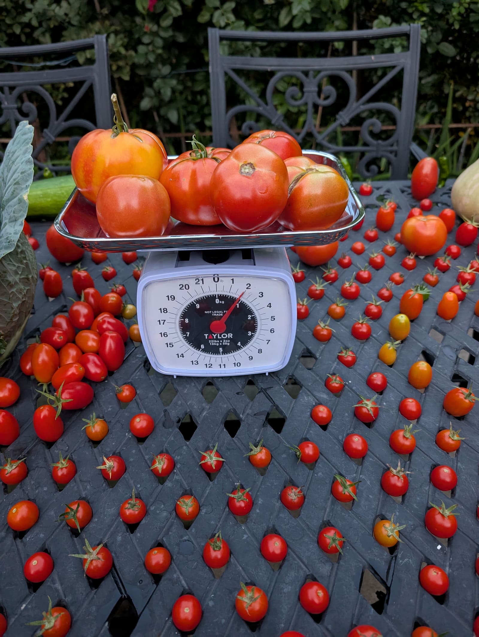 The week's harvest arranged on the table, with the scale in frame. September 2025.