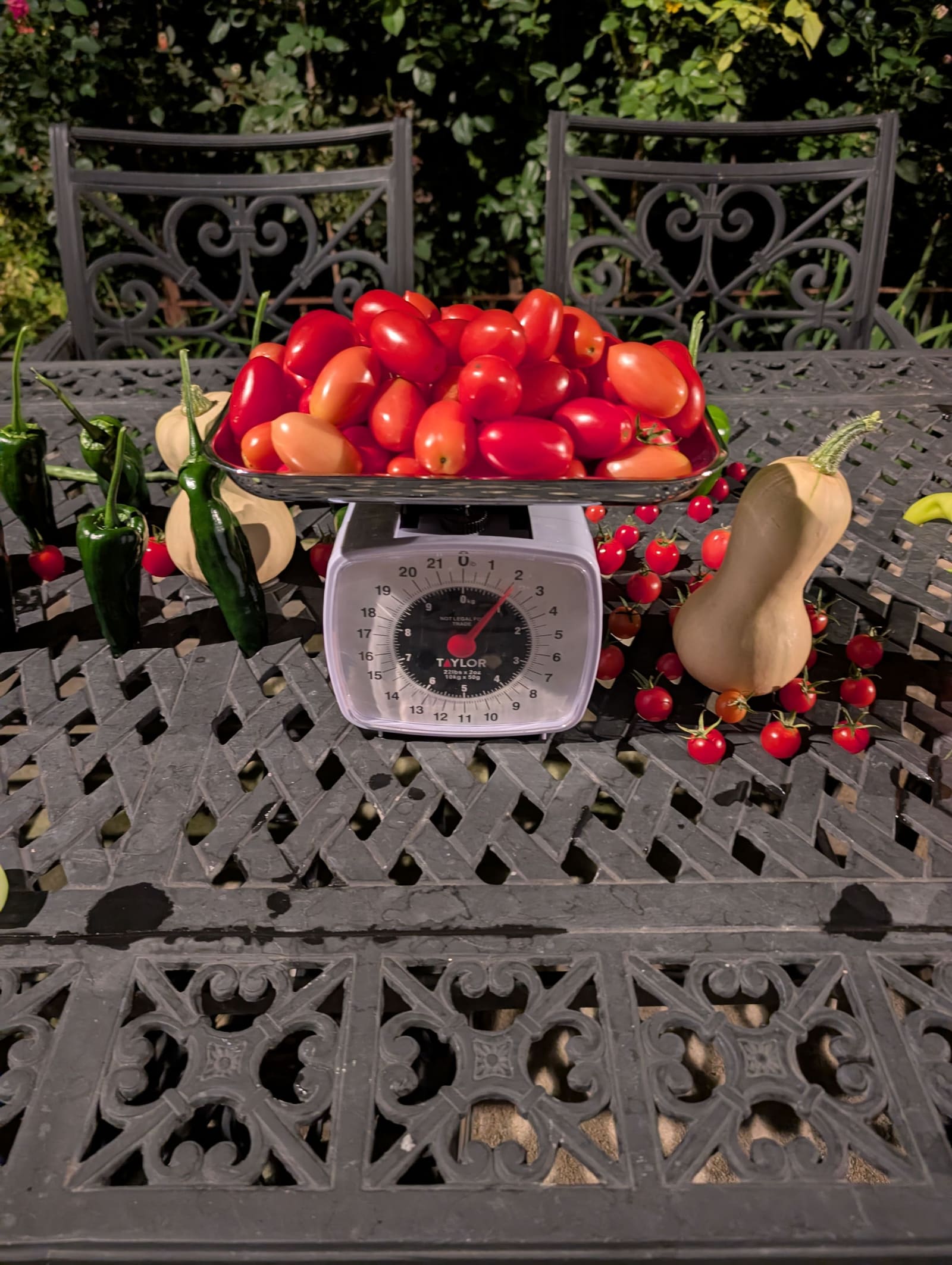 The week's harvest arranged on the table, with the scale in frame. August 2025.
