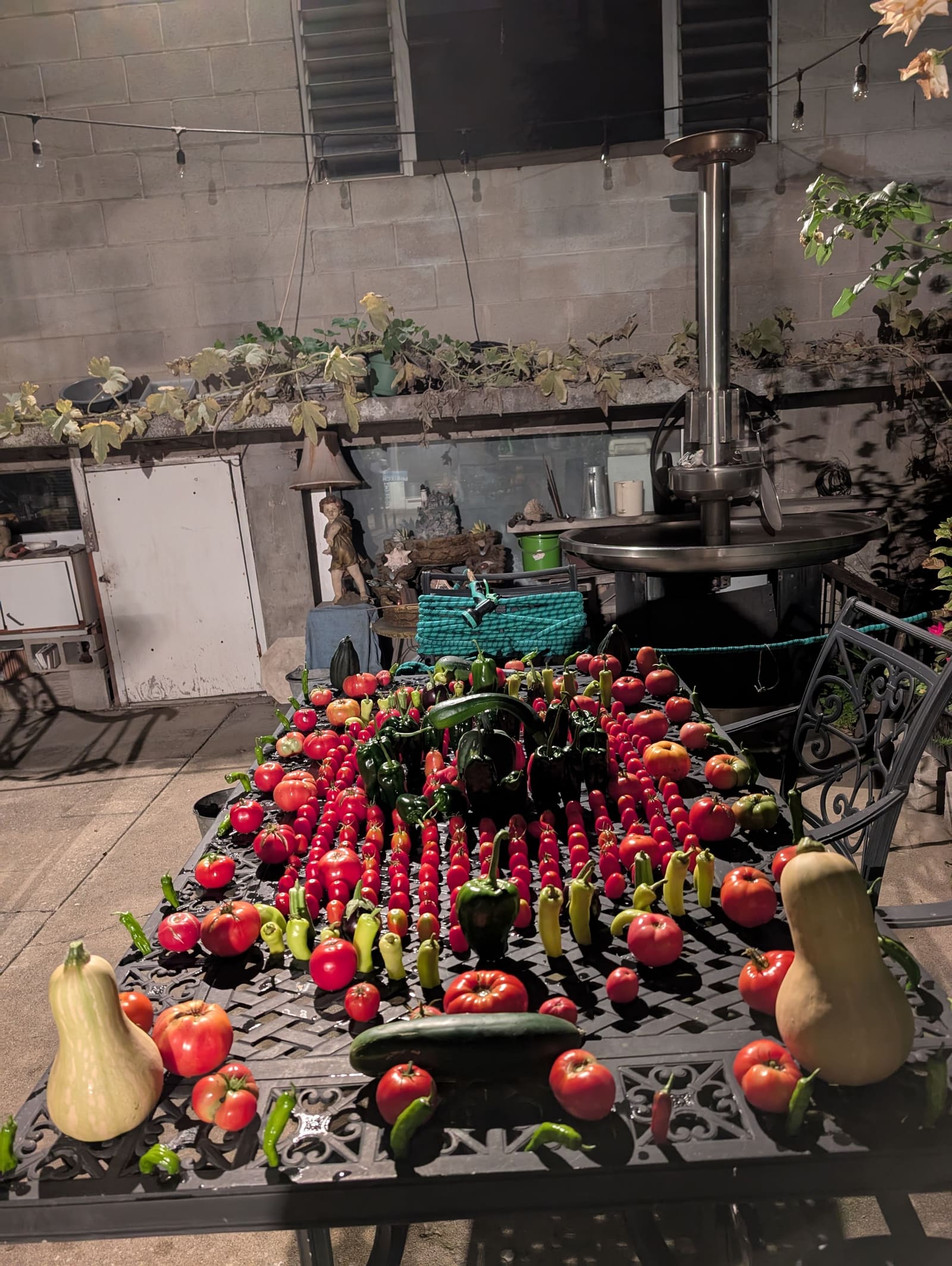 The week's harvest arranged on the table. September 2025.