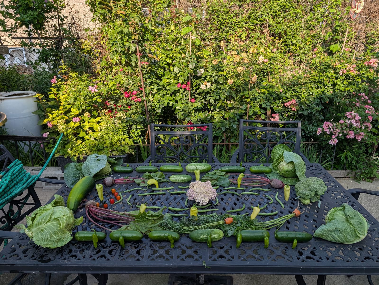 The week's harvest arranged on the table. July 2025.