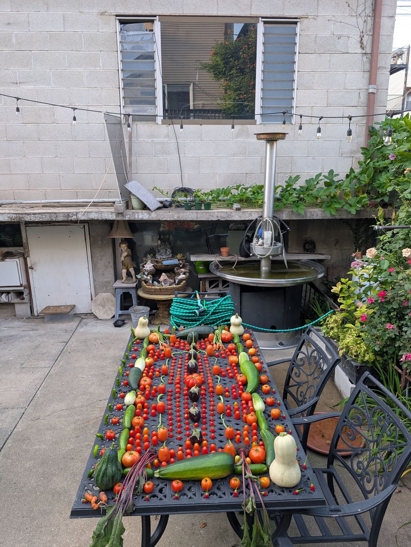 The week's harvest arranged on the table. August 2025.
