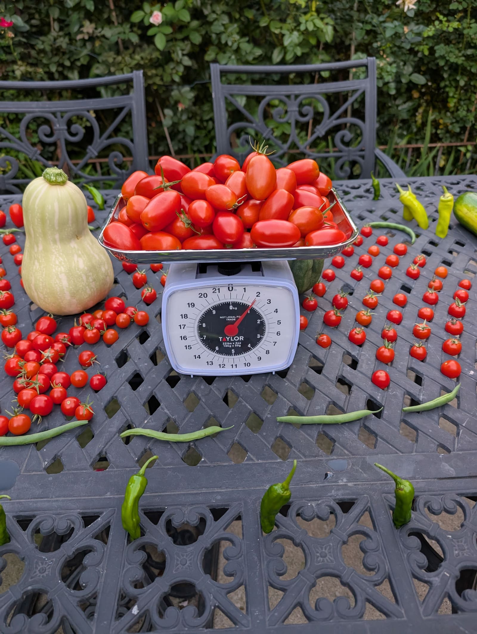 The week's harvest arranged on the table, with the scale in frame. September 2025.