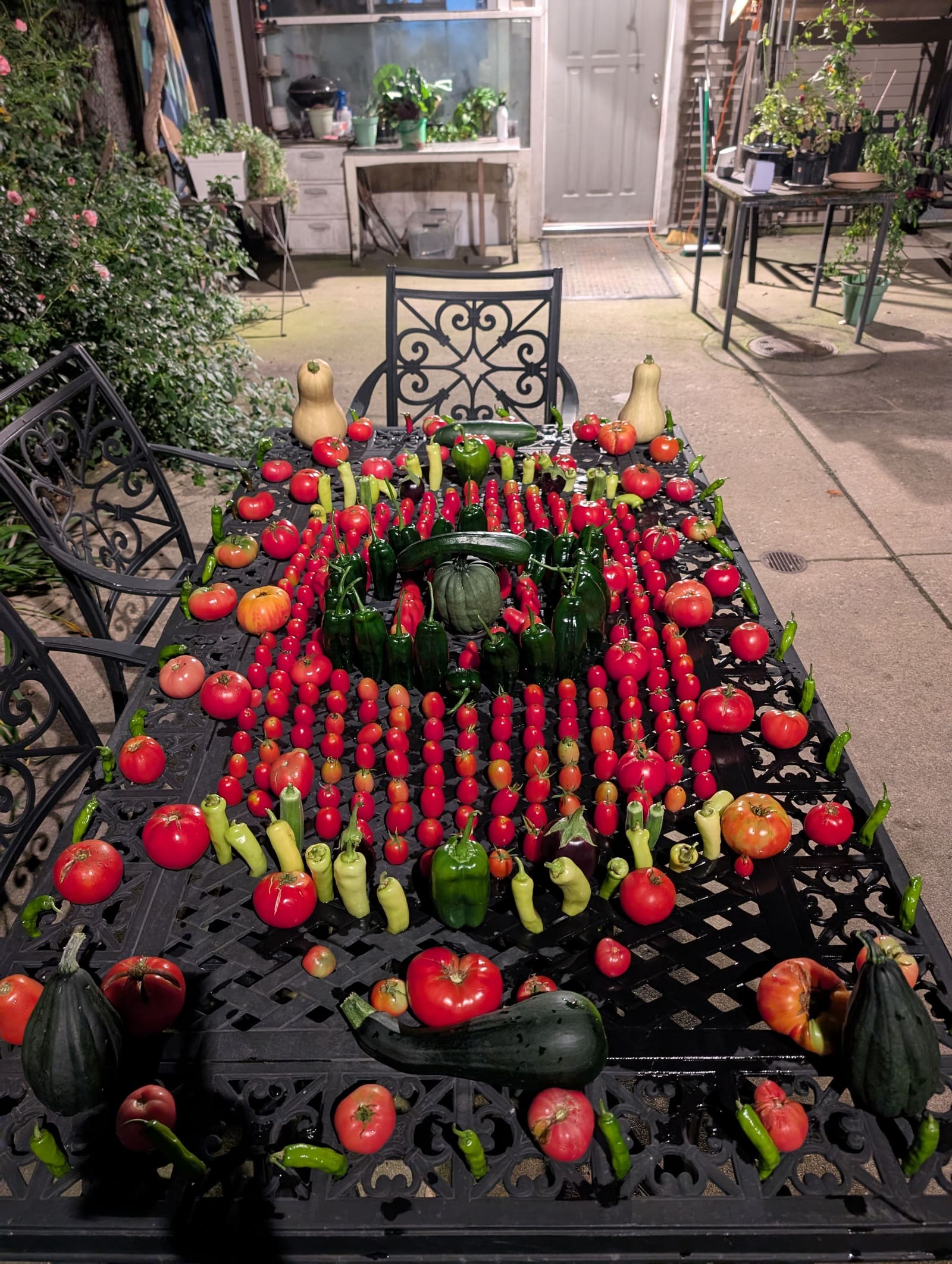 The week's harvest arranged on the table. September 2025.