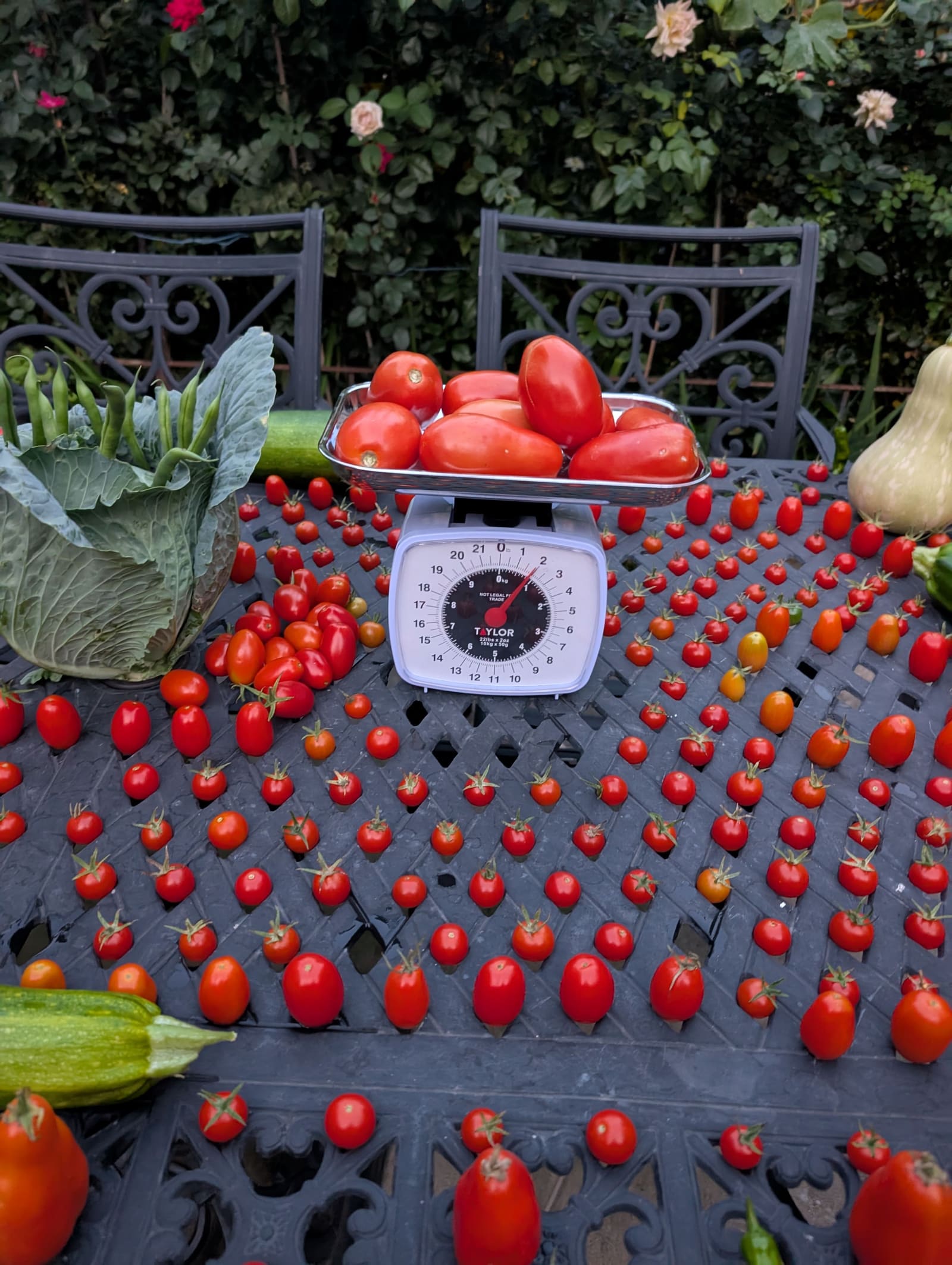 The week's harvest arranged on the table, with the scale in frame. September 2025.