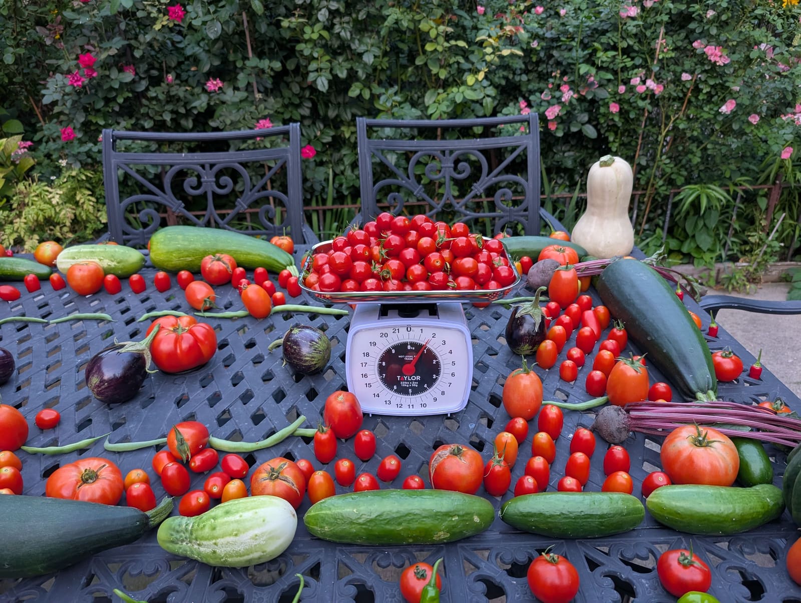 The week's harvest arranged on the table, with the scale in frame. August 2025.