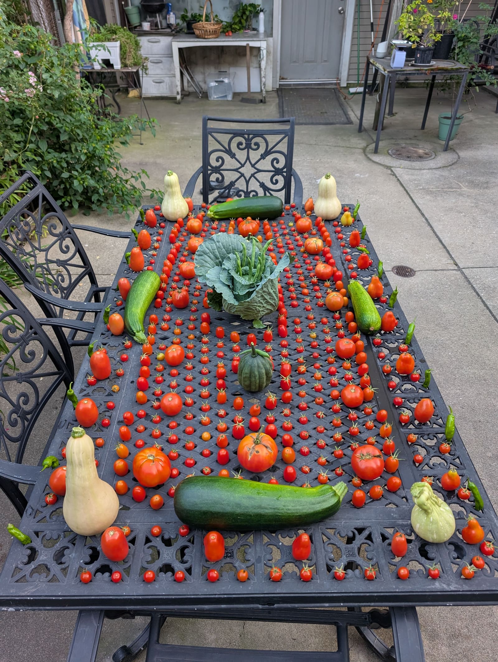 The week's harvest arranged on the table. September 2025.