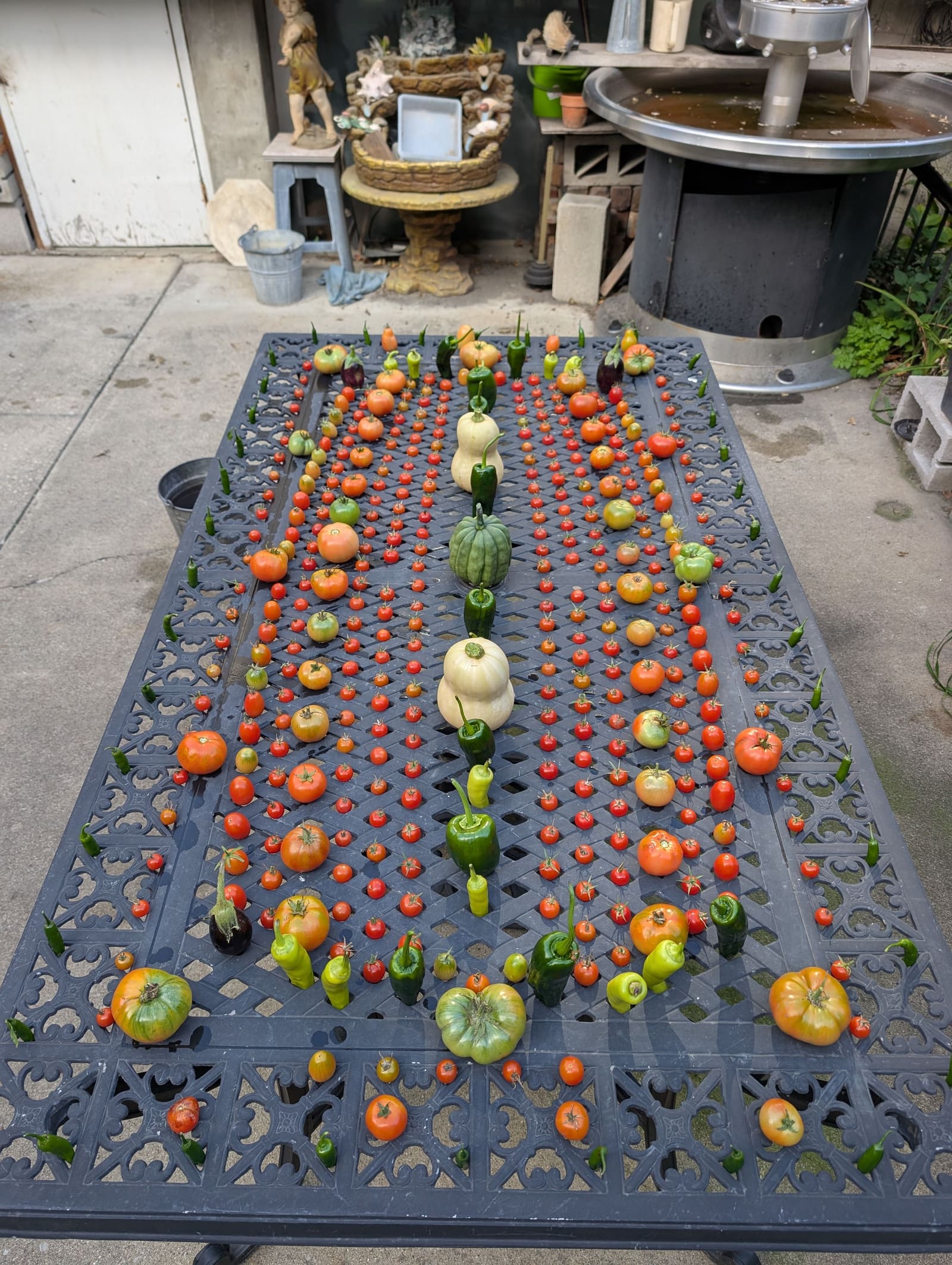 The week's harvest arranged on the table. October 2025.