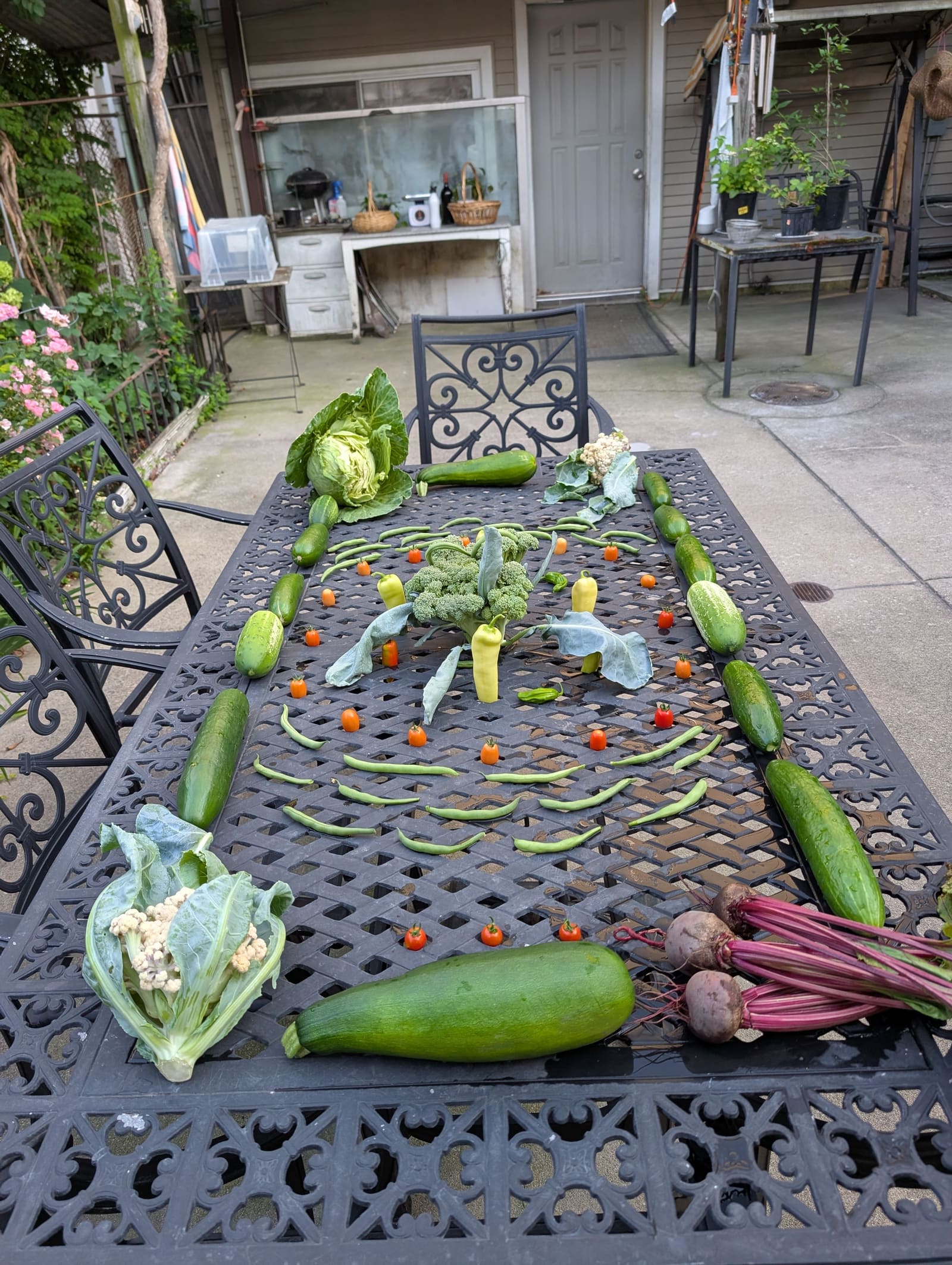 The week's harvest arranged on the table. July 2025.