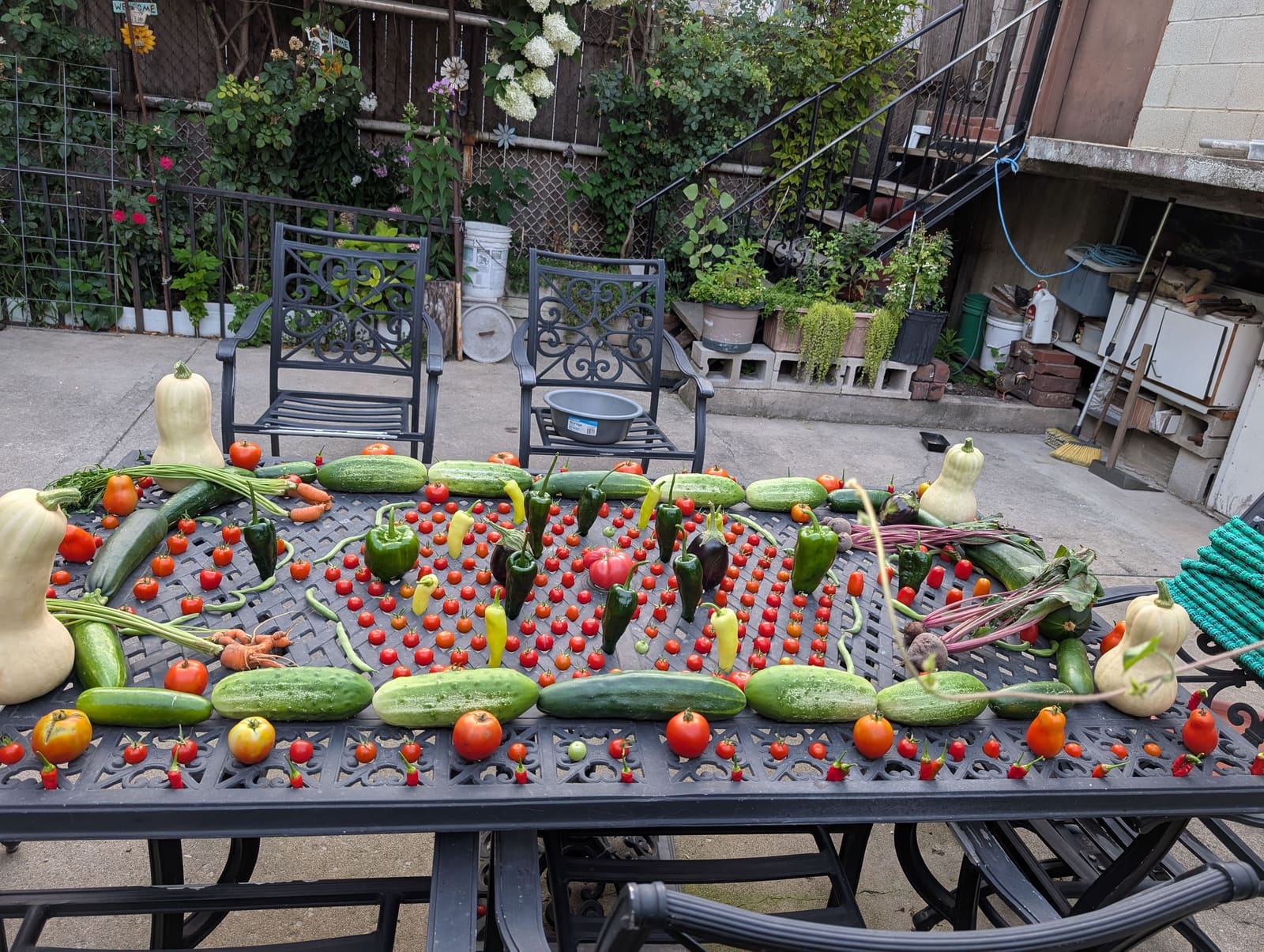 The week's harvest arranged on the table. August 2025.