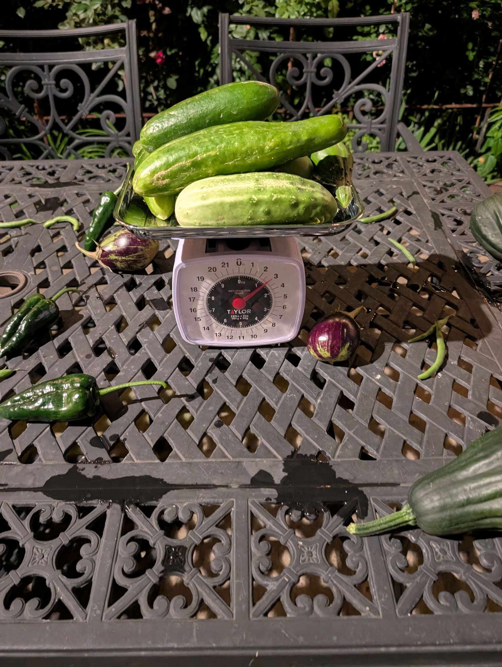 The week's harvest arranged on the table, with the scale in frame. August 2025.