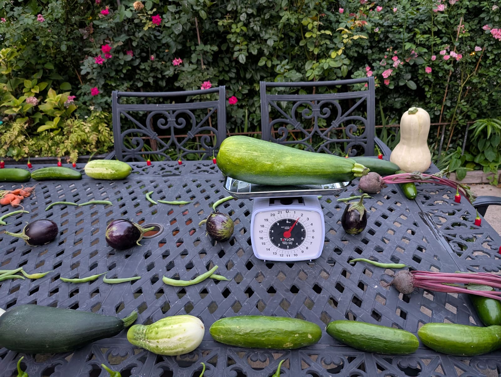 The week's harvest arranged on the table, with the scale in frame. August 2025.